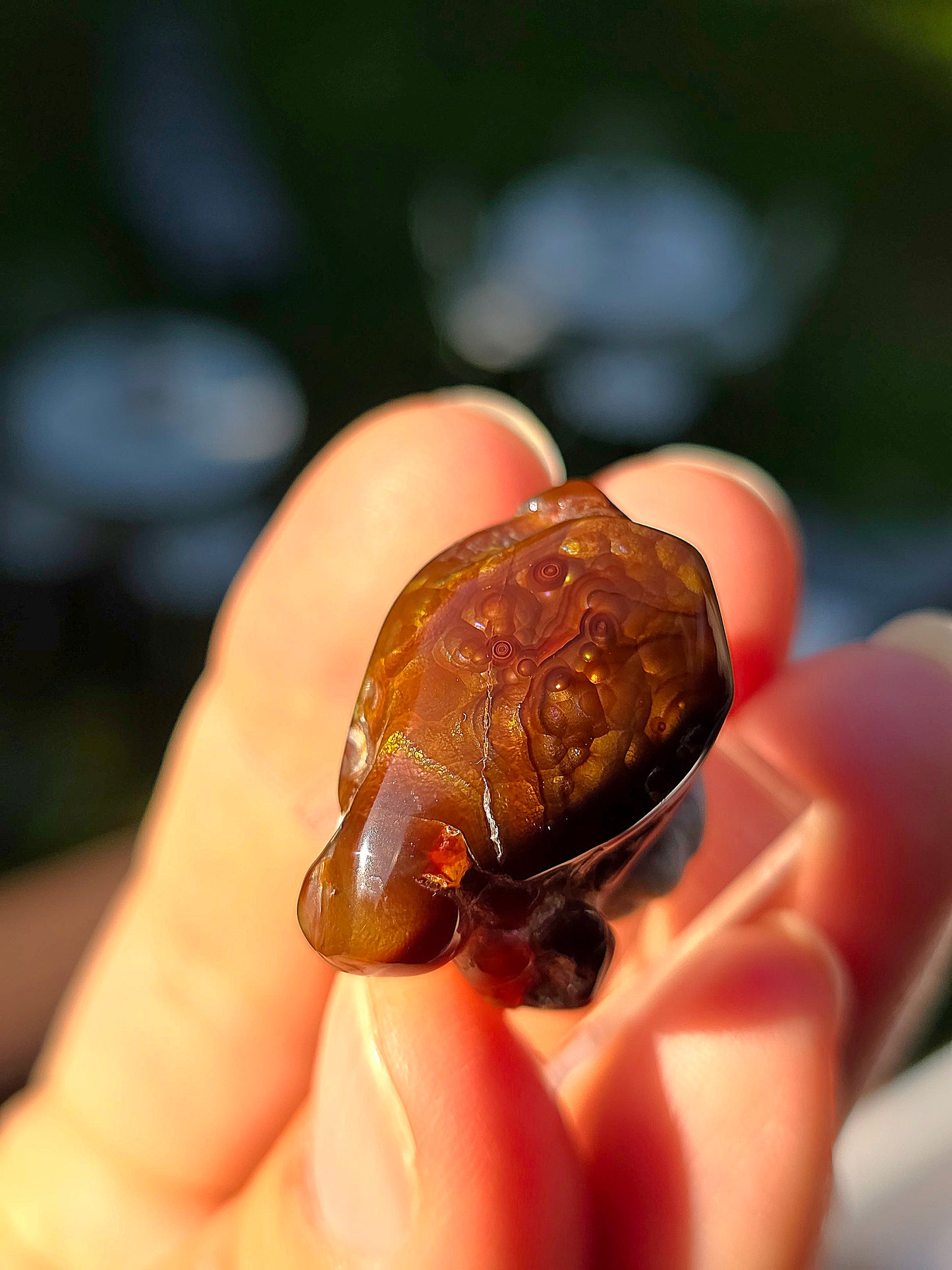 Agate feu du Mexique A9