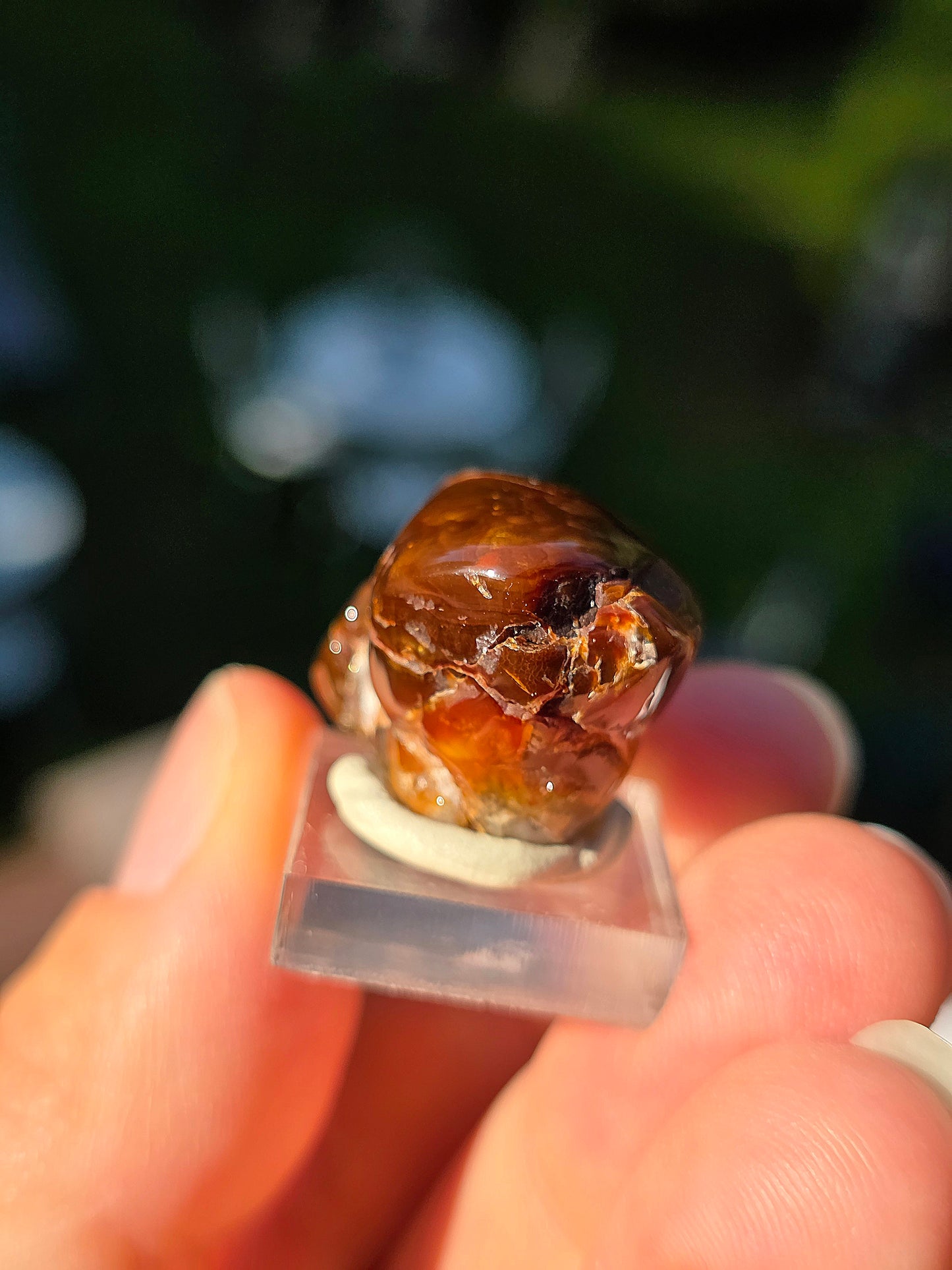 Agate feu du Mexique A9