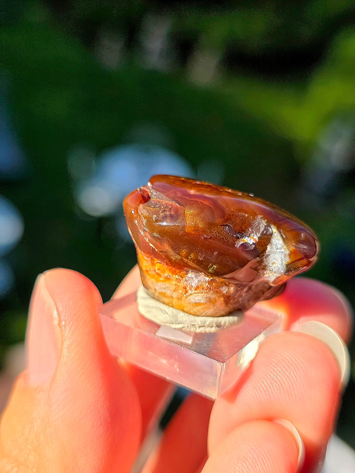 Agate feu du Mexique A9