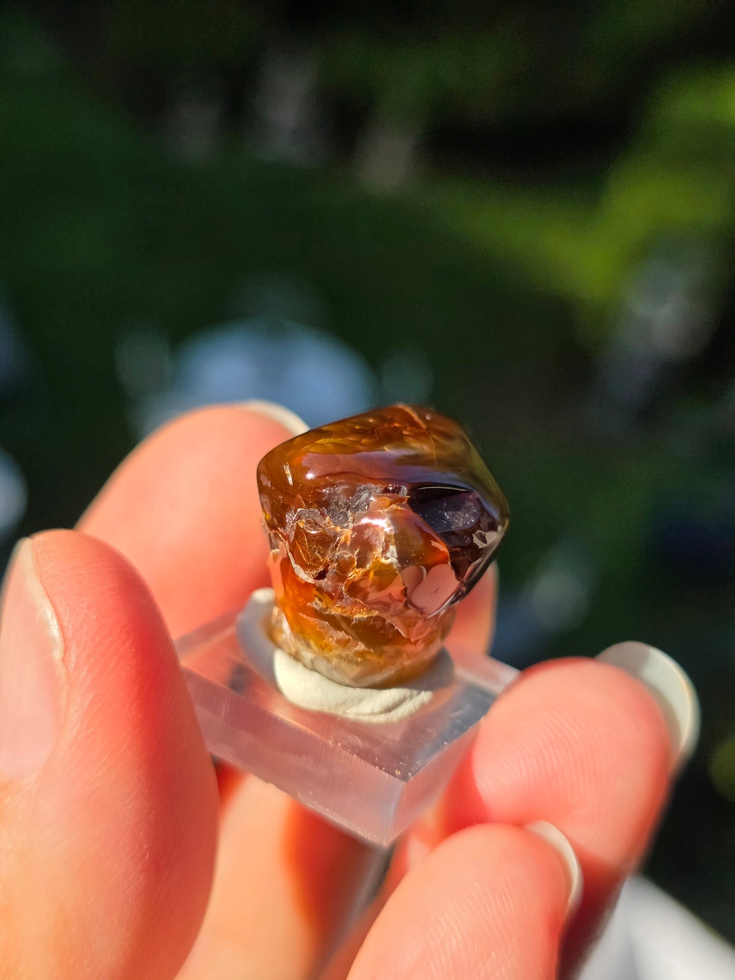 Agate feu du Mexique A9