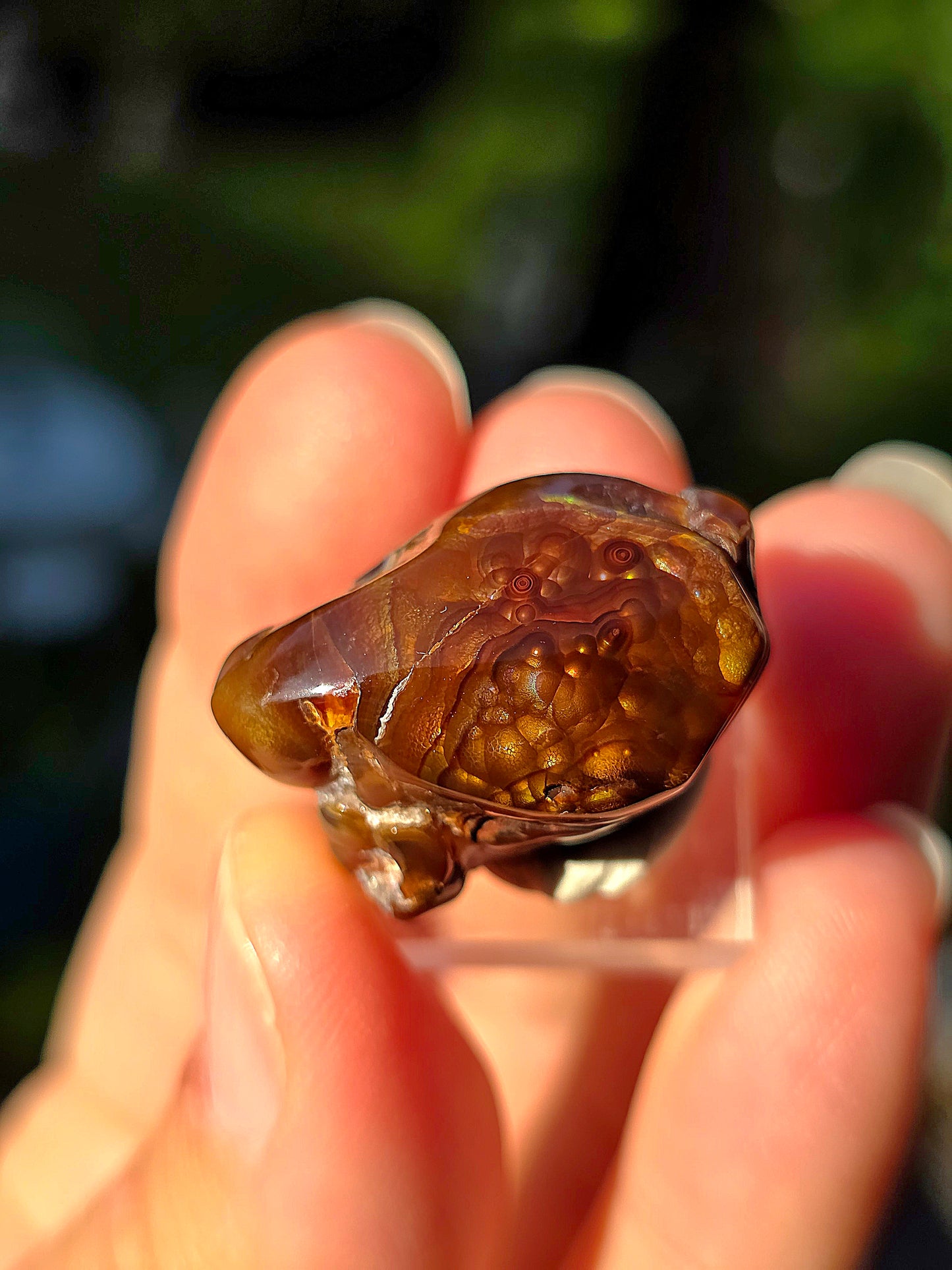 Agate feu du Mexique A9