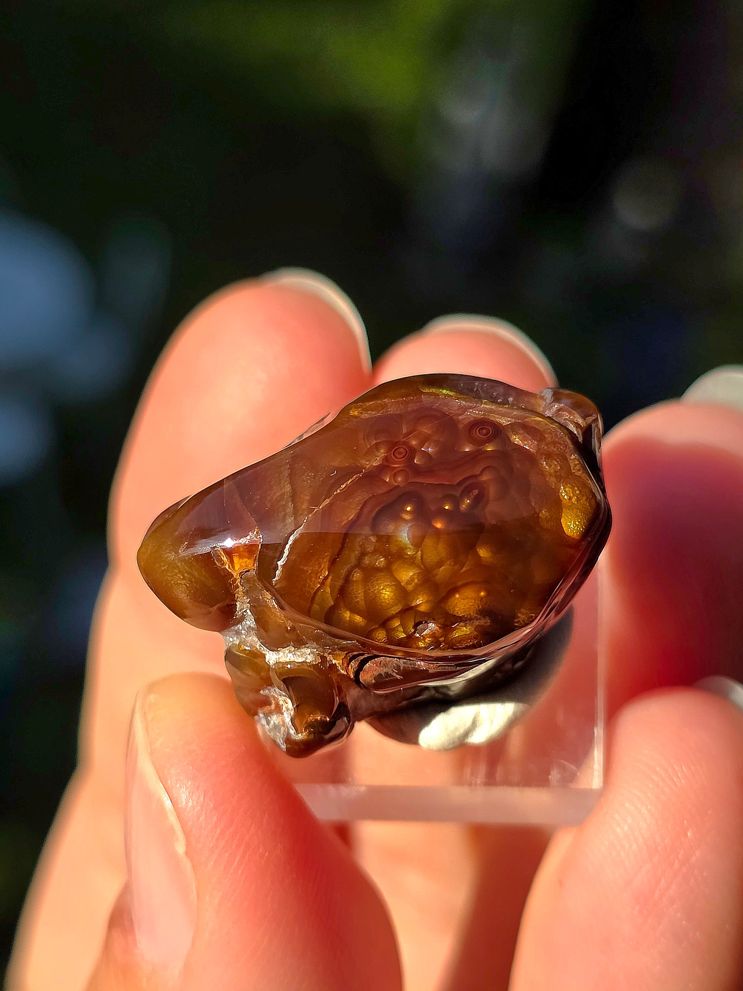 Agate feu du Mexique A9