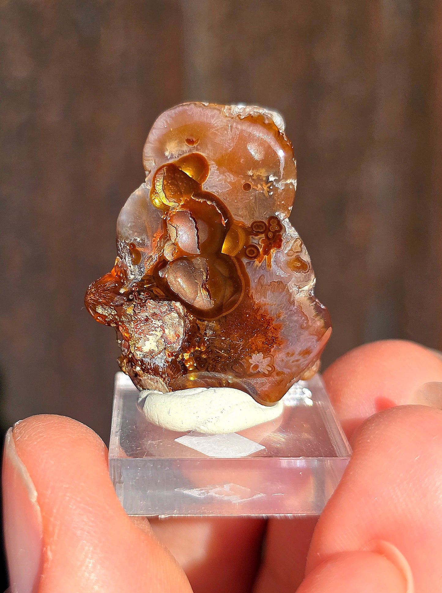 Agate feu du Mexique A11