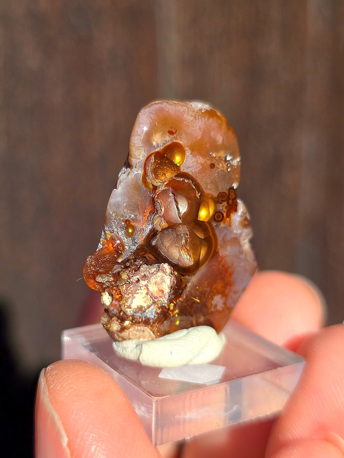 Agate feu du Mexique A11