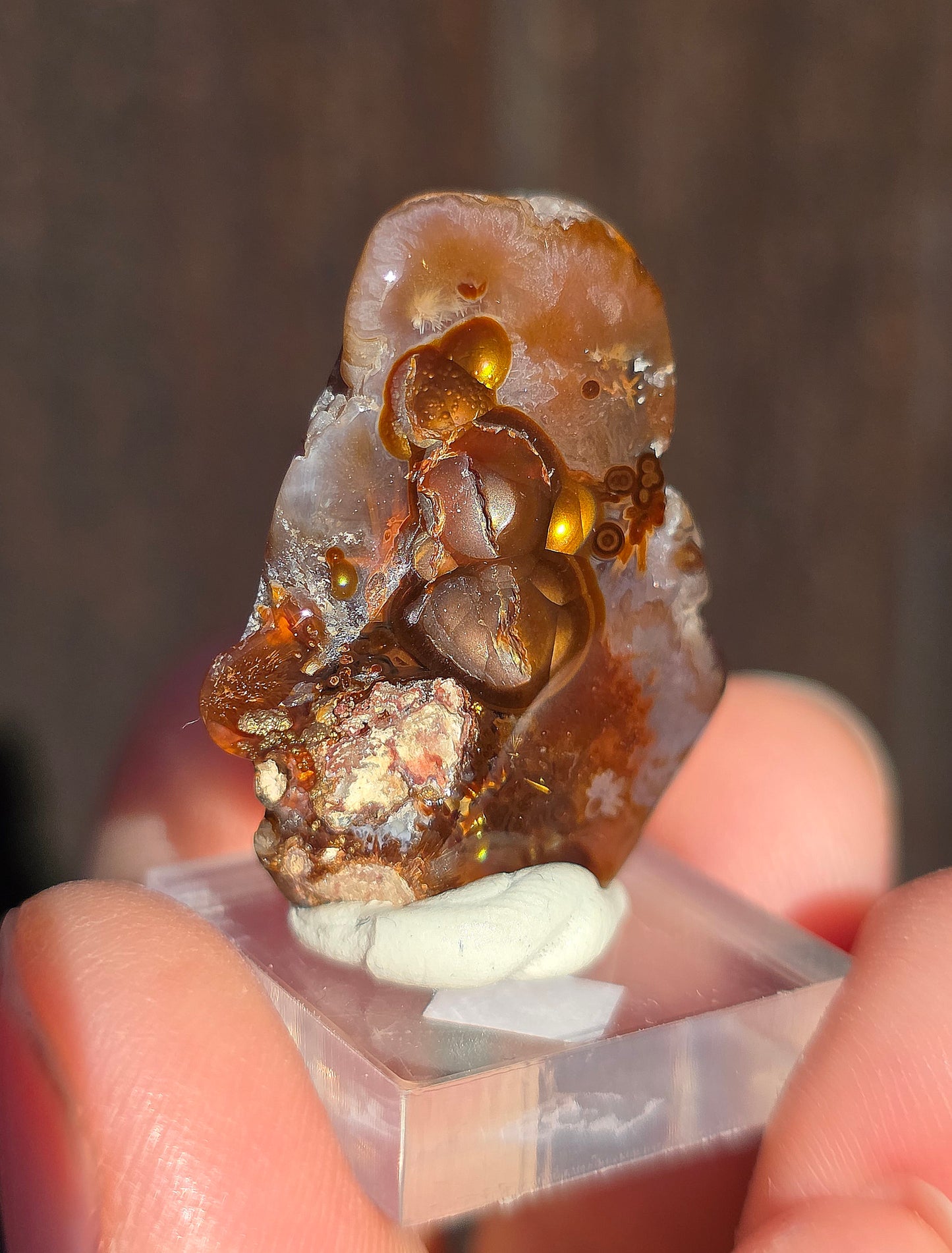 Agate feu du Mexique A11