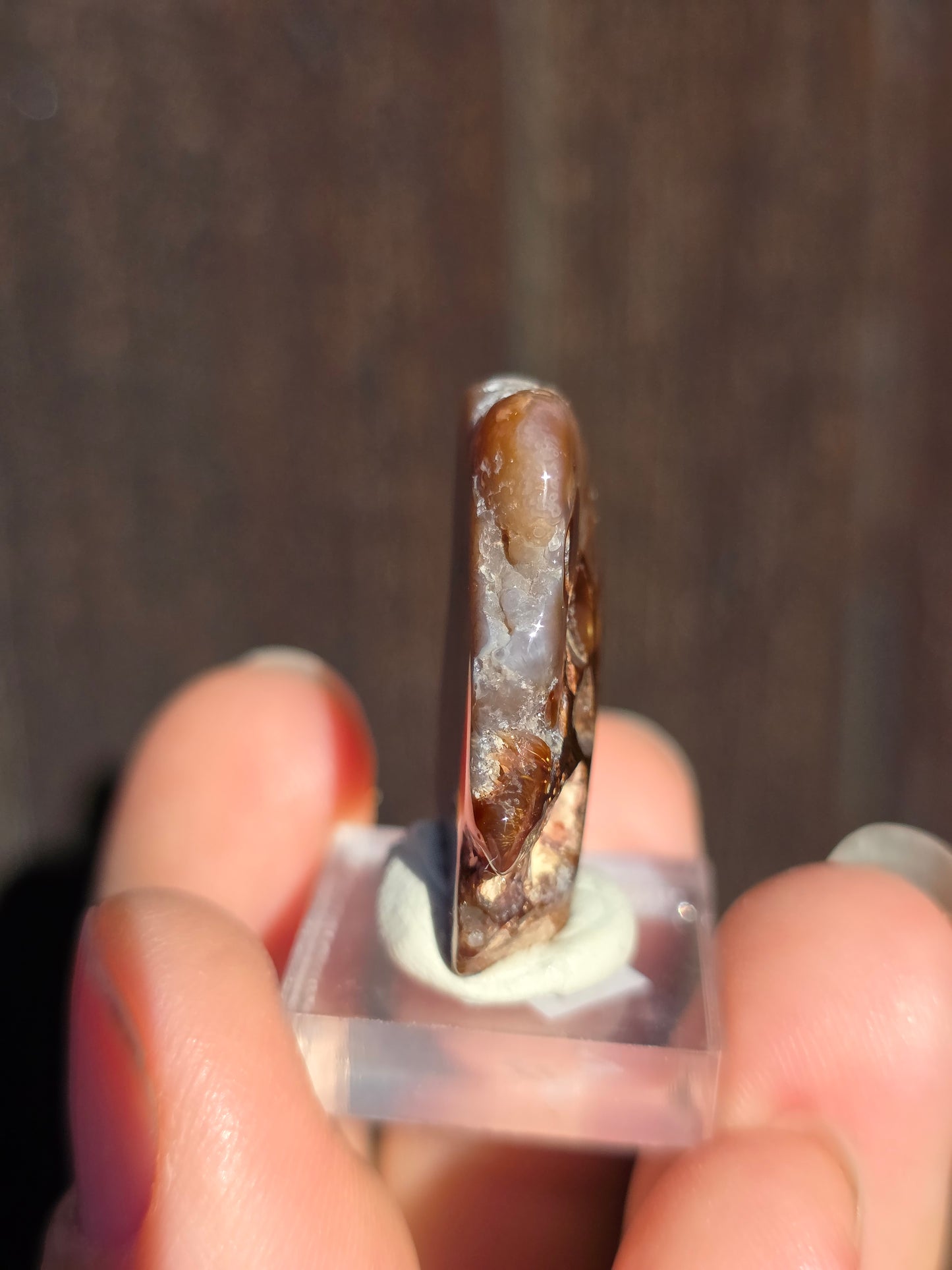 Agate feu du Mexique A11