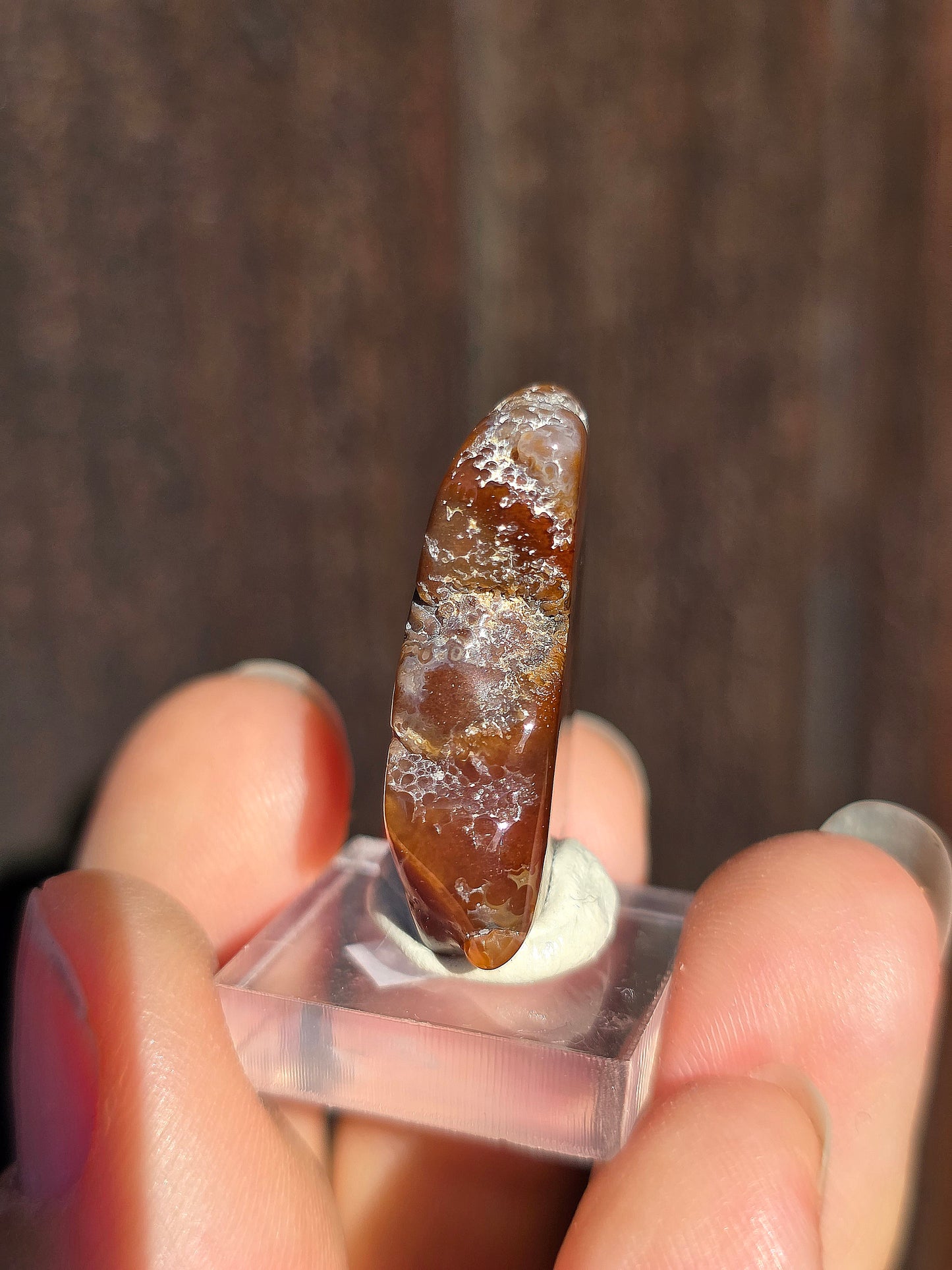 Agate feu du Mexique A11