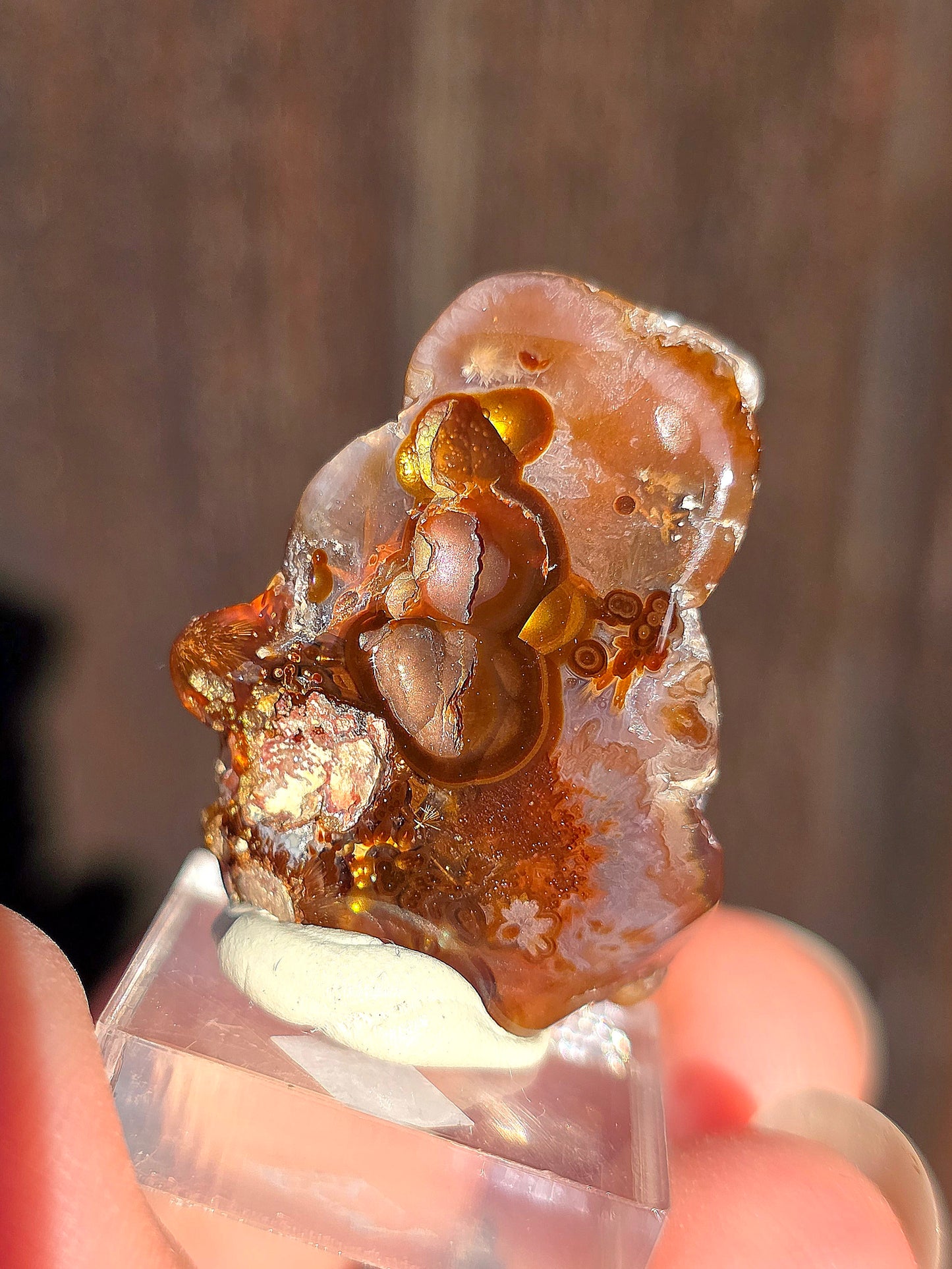 Agate feu du Mexique A11