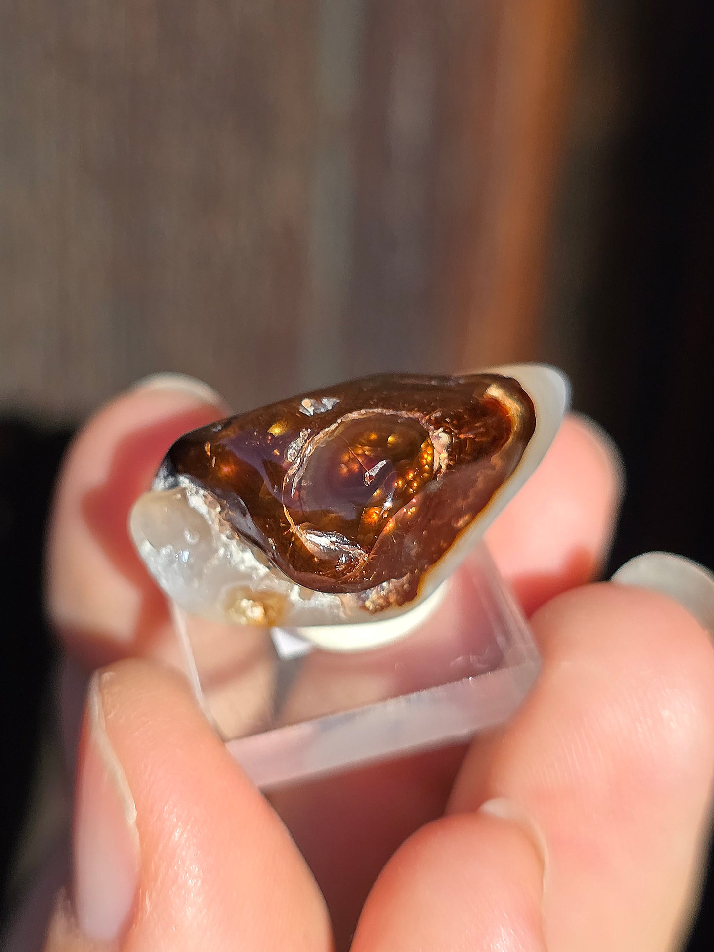 Agate feu du Mexique A12