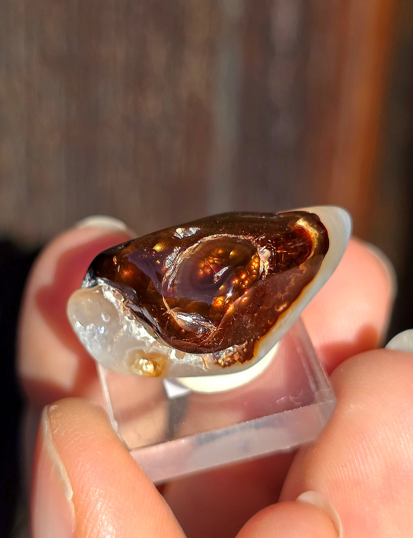 Agate feu du Mexique A12