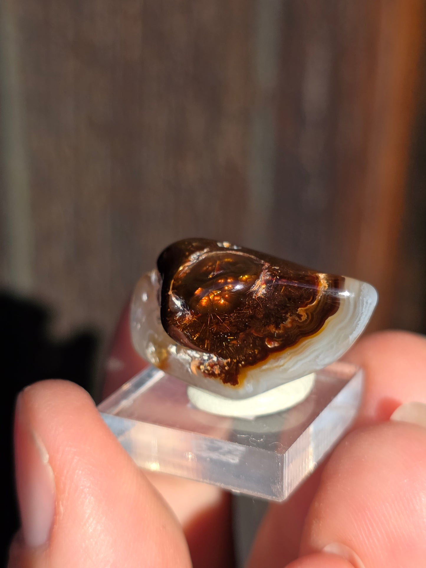 Agate feu du Mexique A12