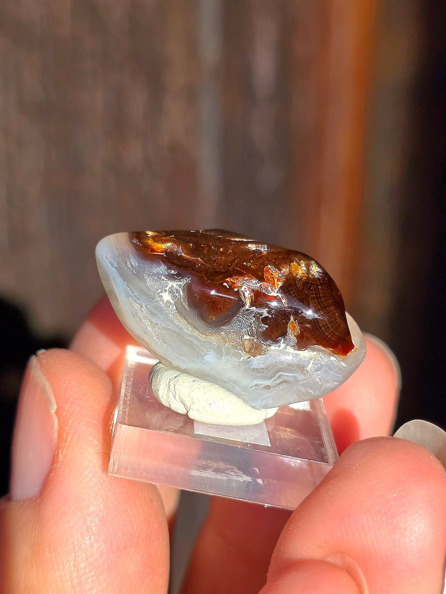 Agate feu du Mexique A12