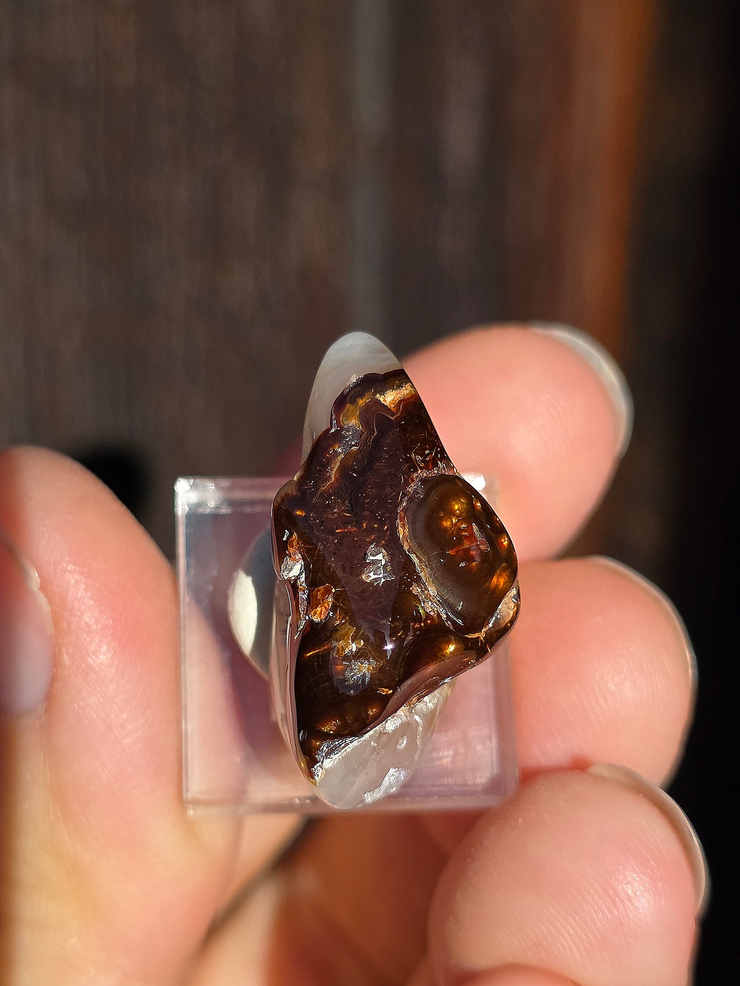 Agate feu du Mexique A12
