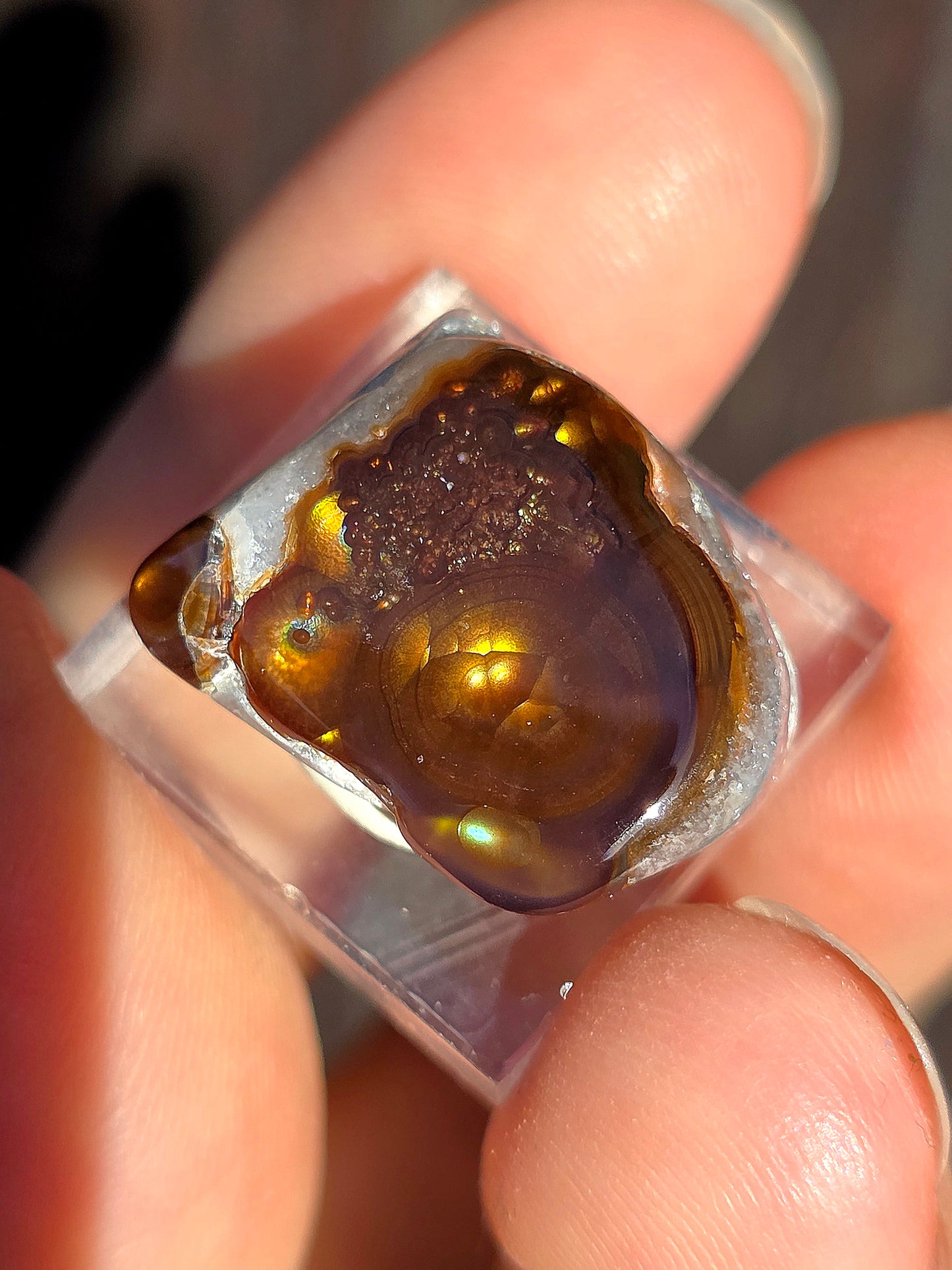 Agate feu du Mexique A14