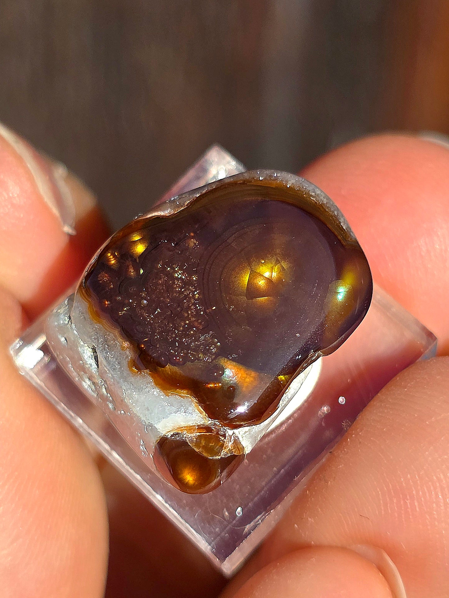 Agate feu du Mexique A14