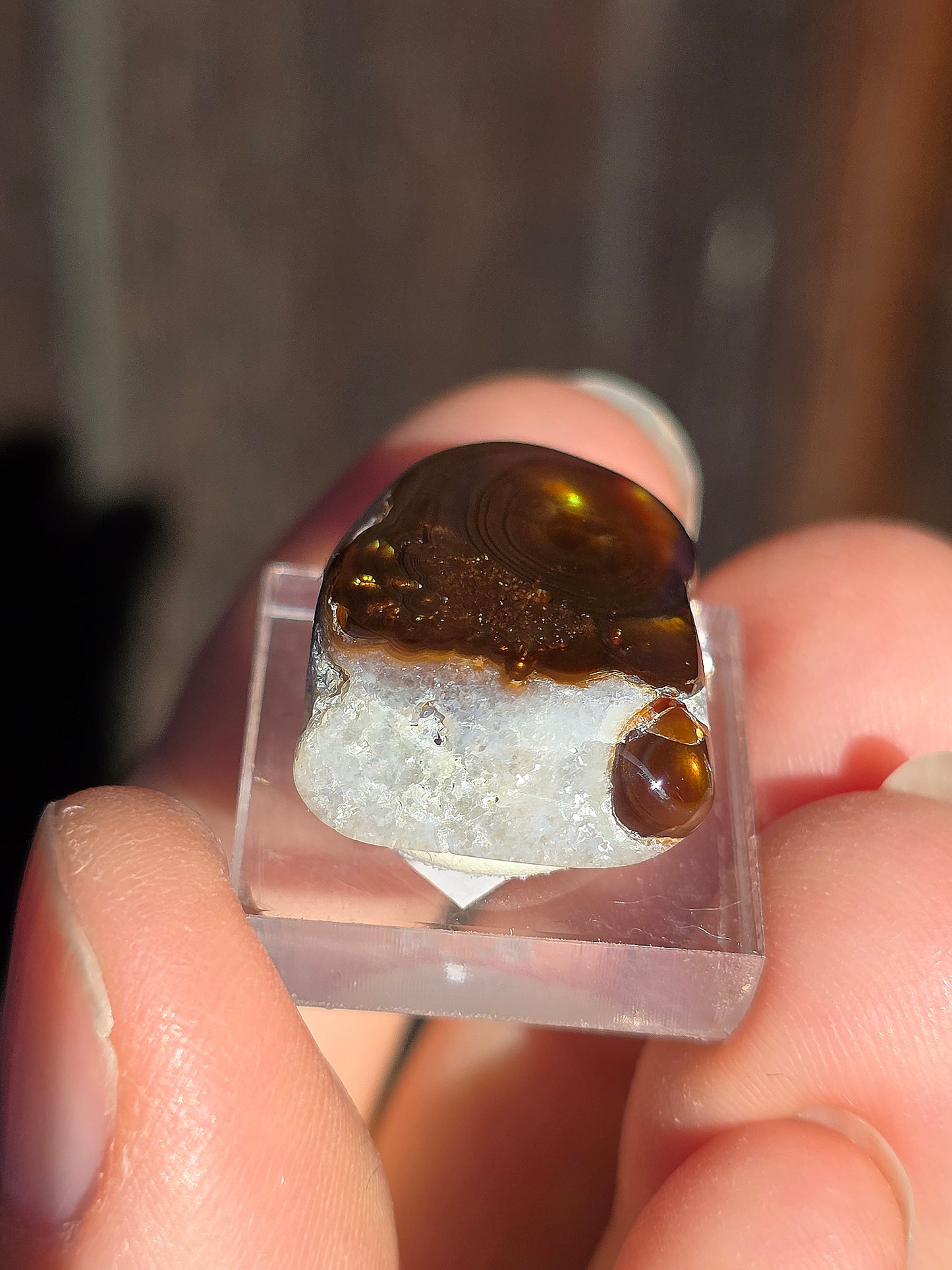 Agate feu du Mexique A14