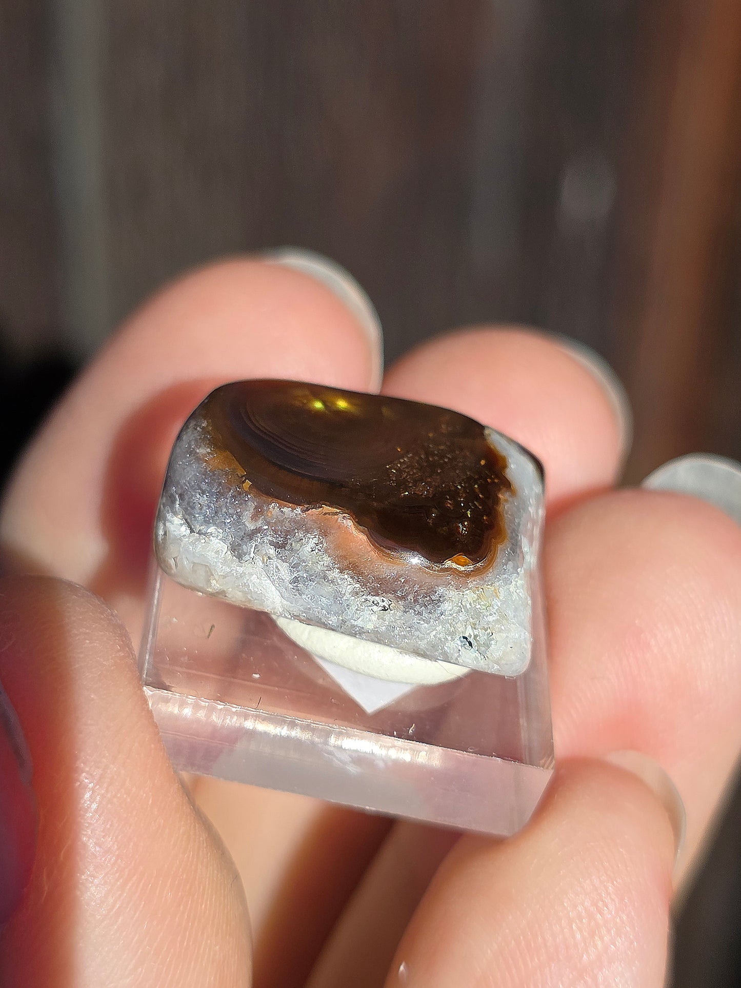 Agate feu du Mexique A14