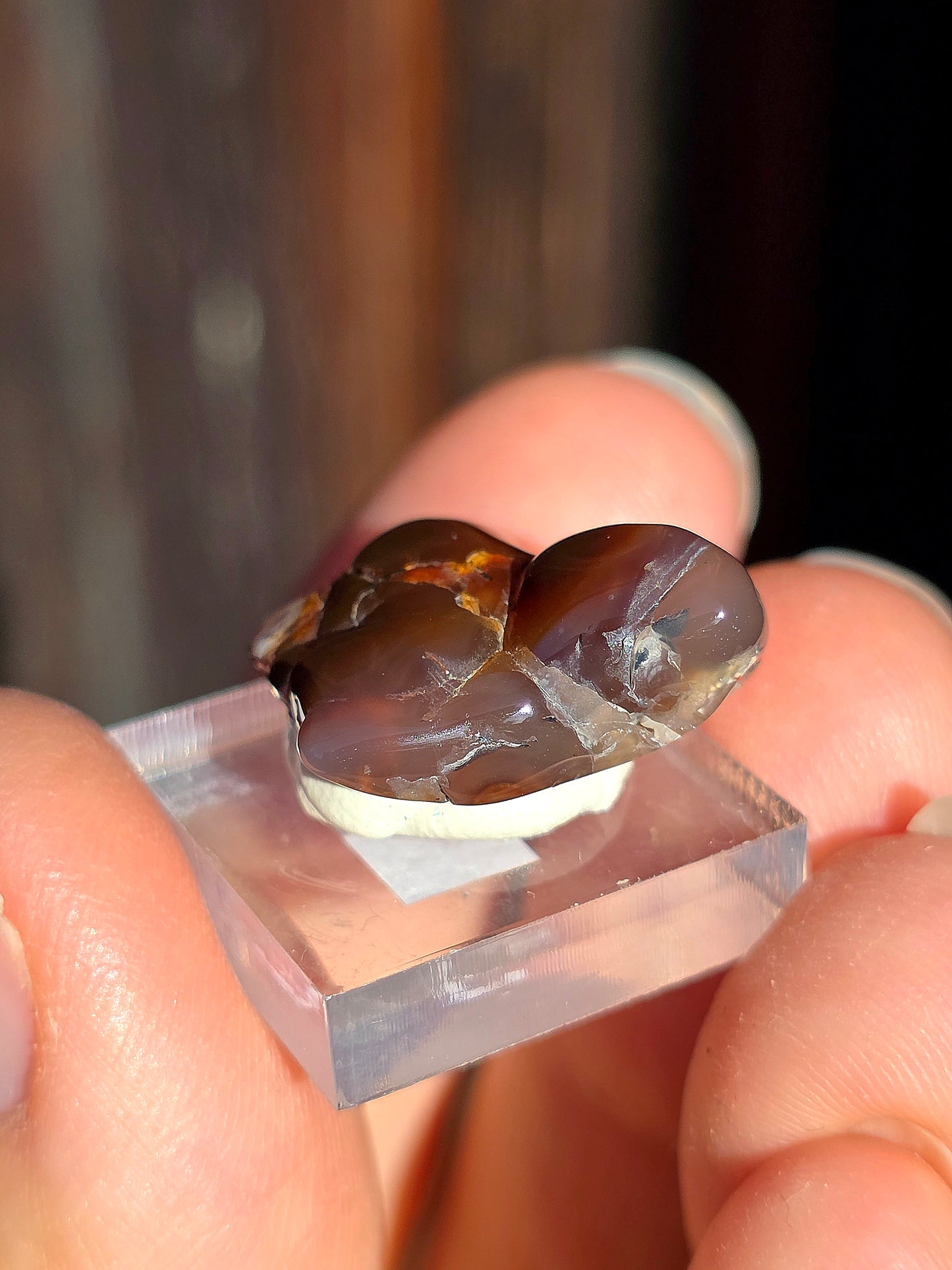 Agate feu du Mexique A15