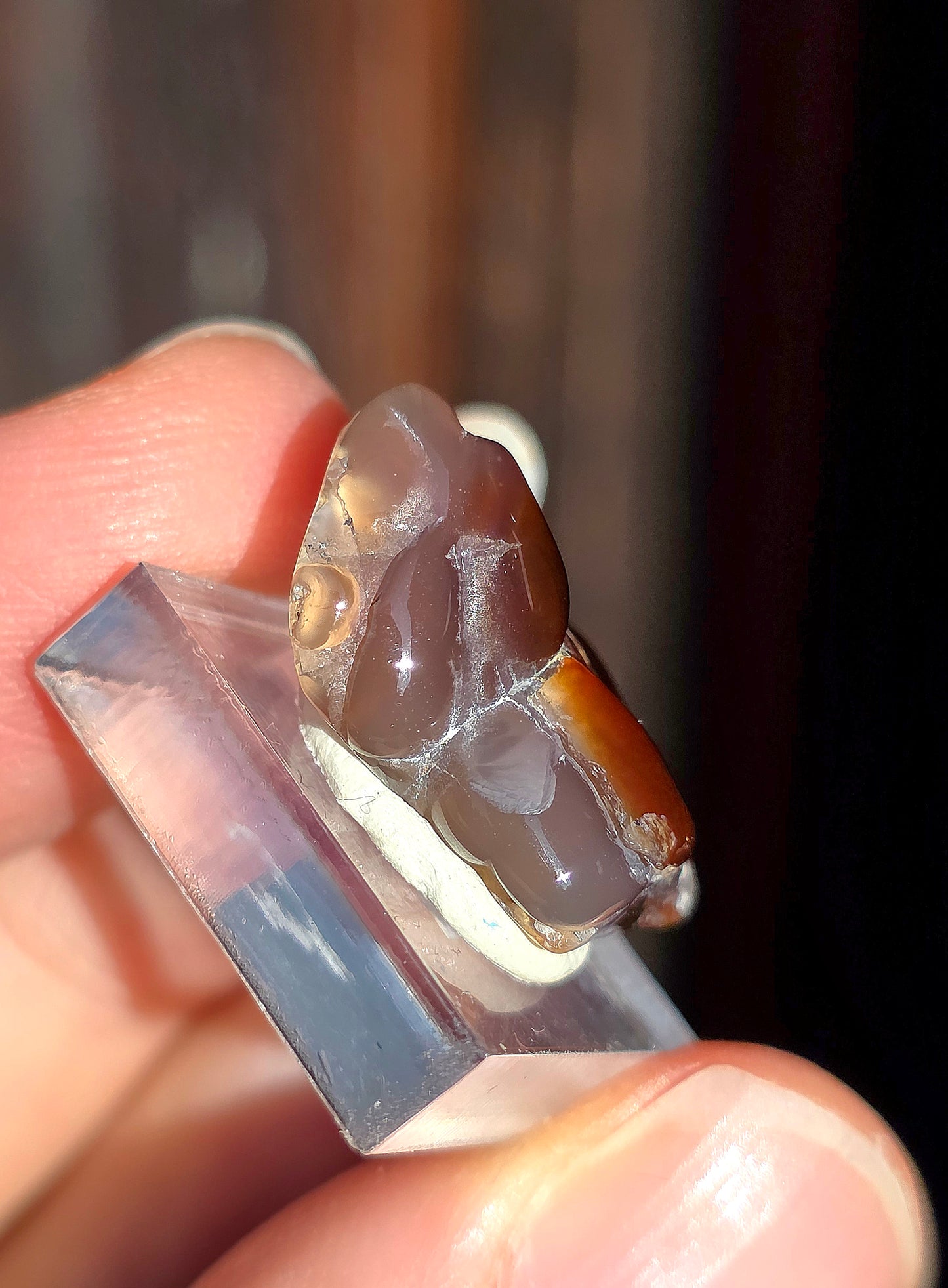 Agate feu du Mexique A15