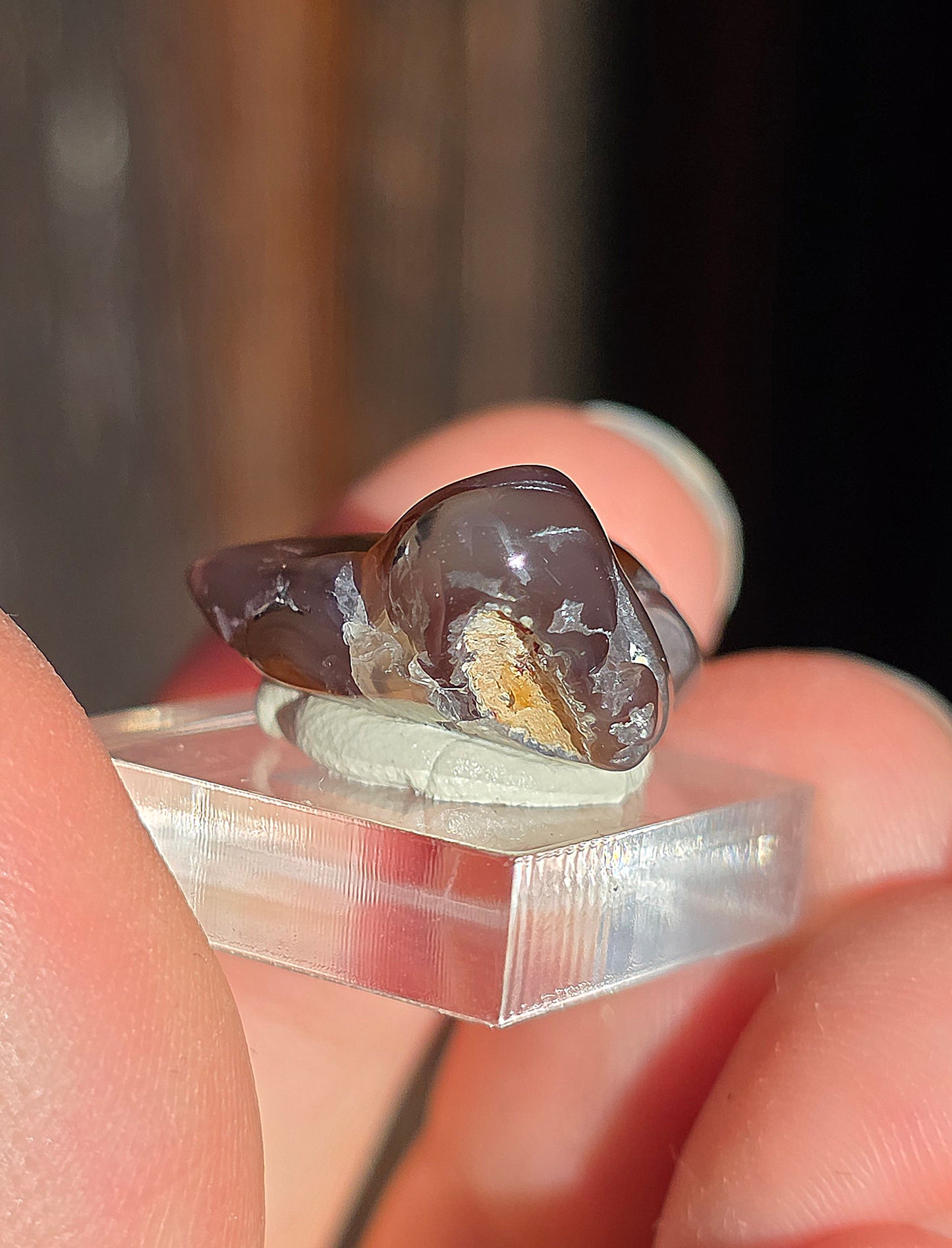 Agate feu du Mexique A15