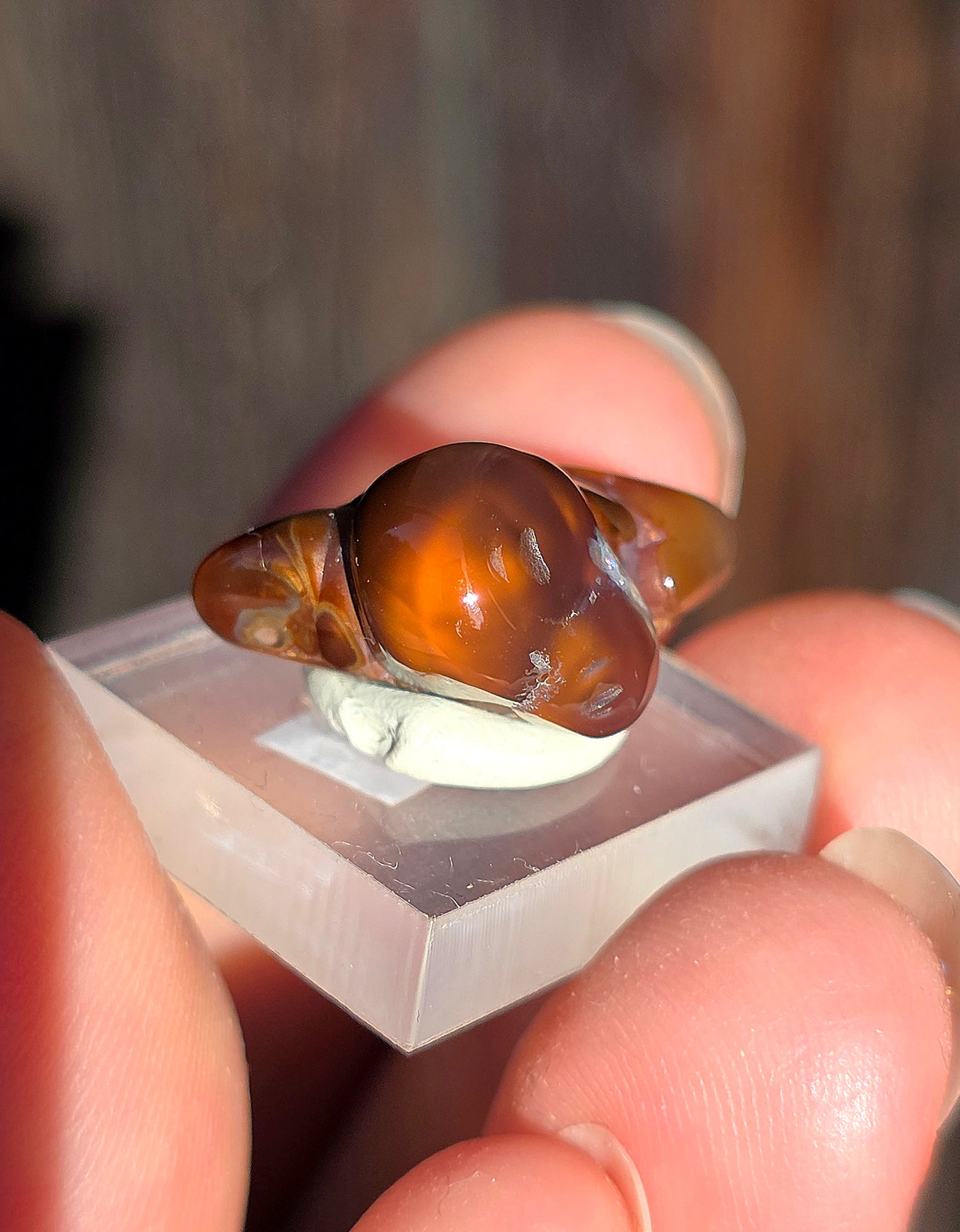 Agate feu du Mexique A16
