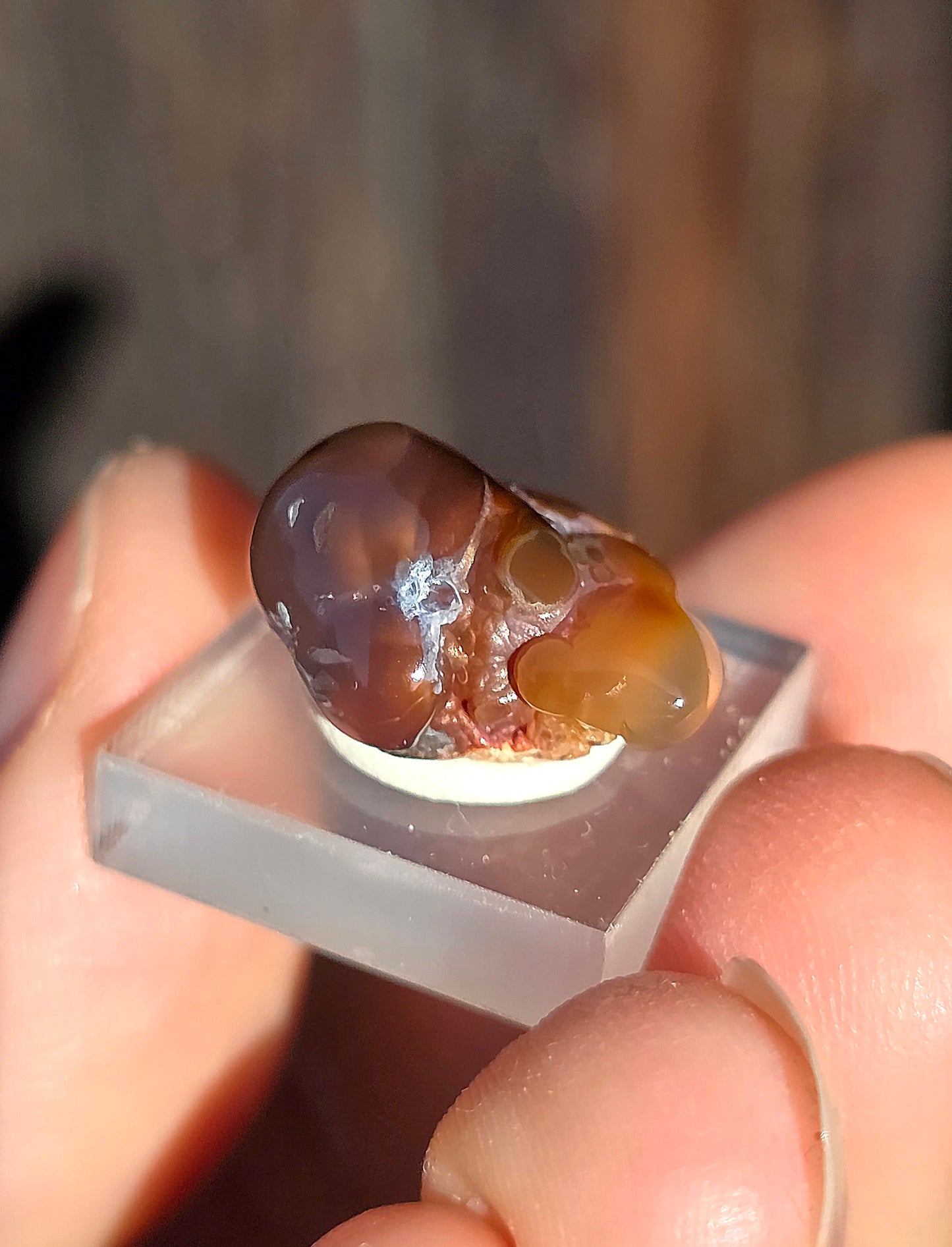 Agate feu du Mexique A16