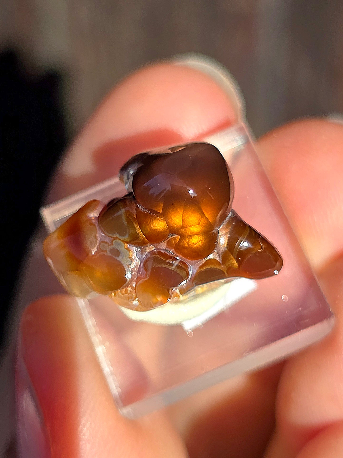 Agate feu du Mexique A16