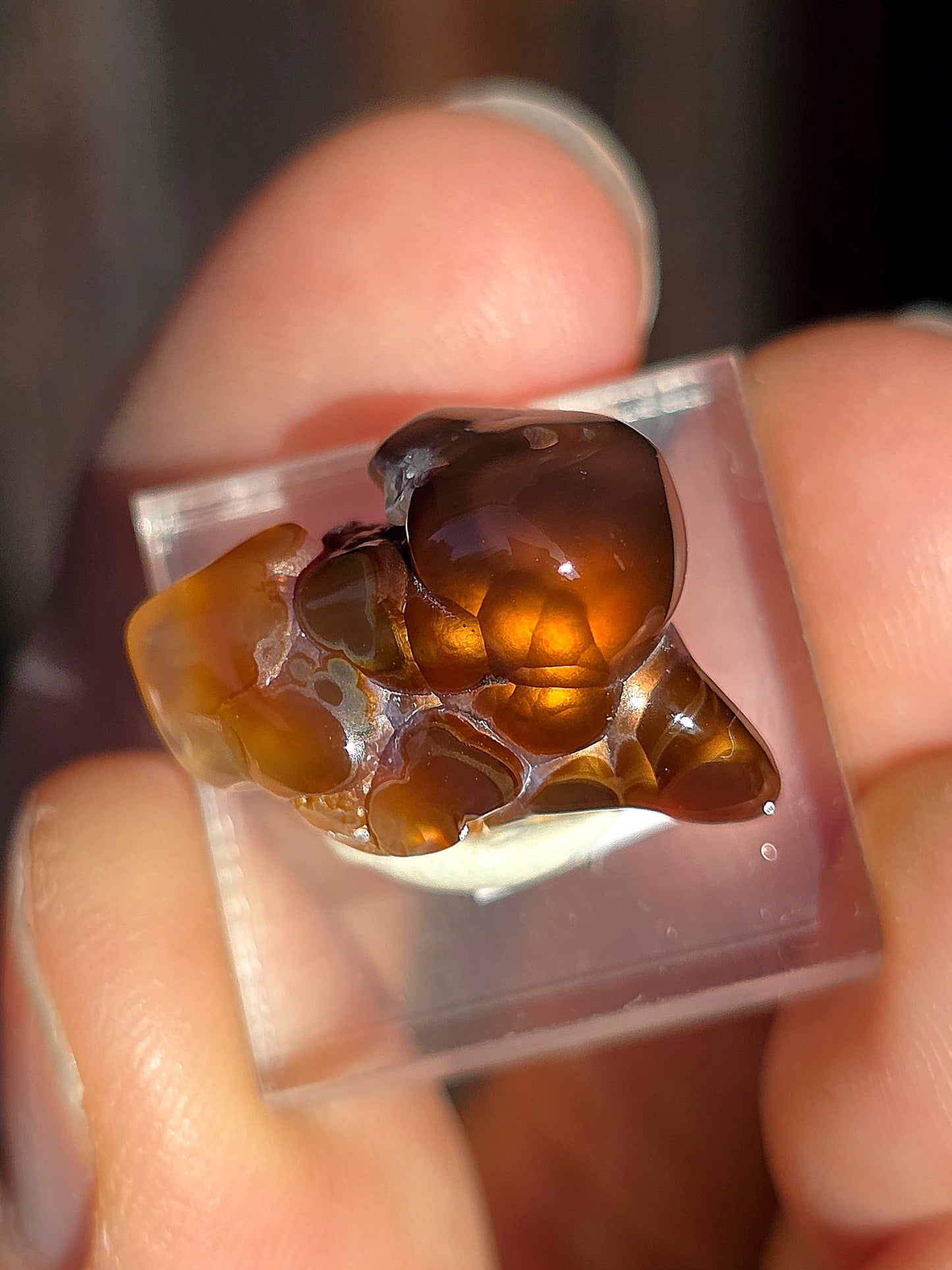 Agate feu du Mexique A16