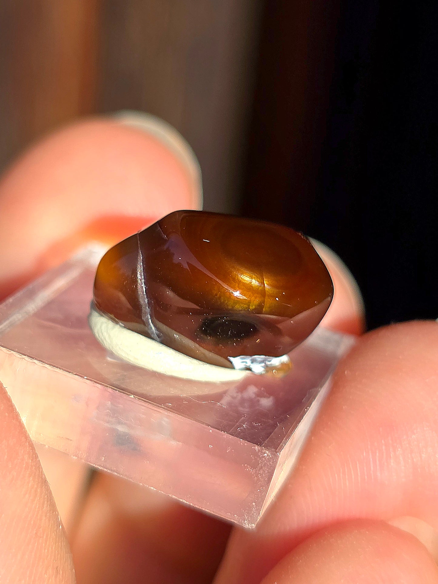 Agate feu du Mexique A18