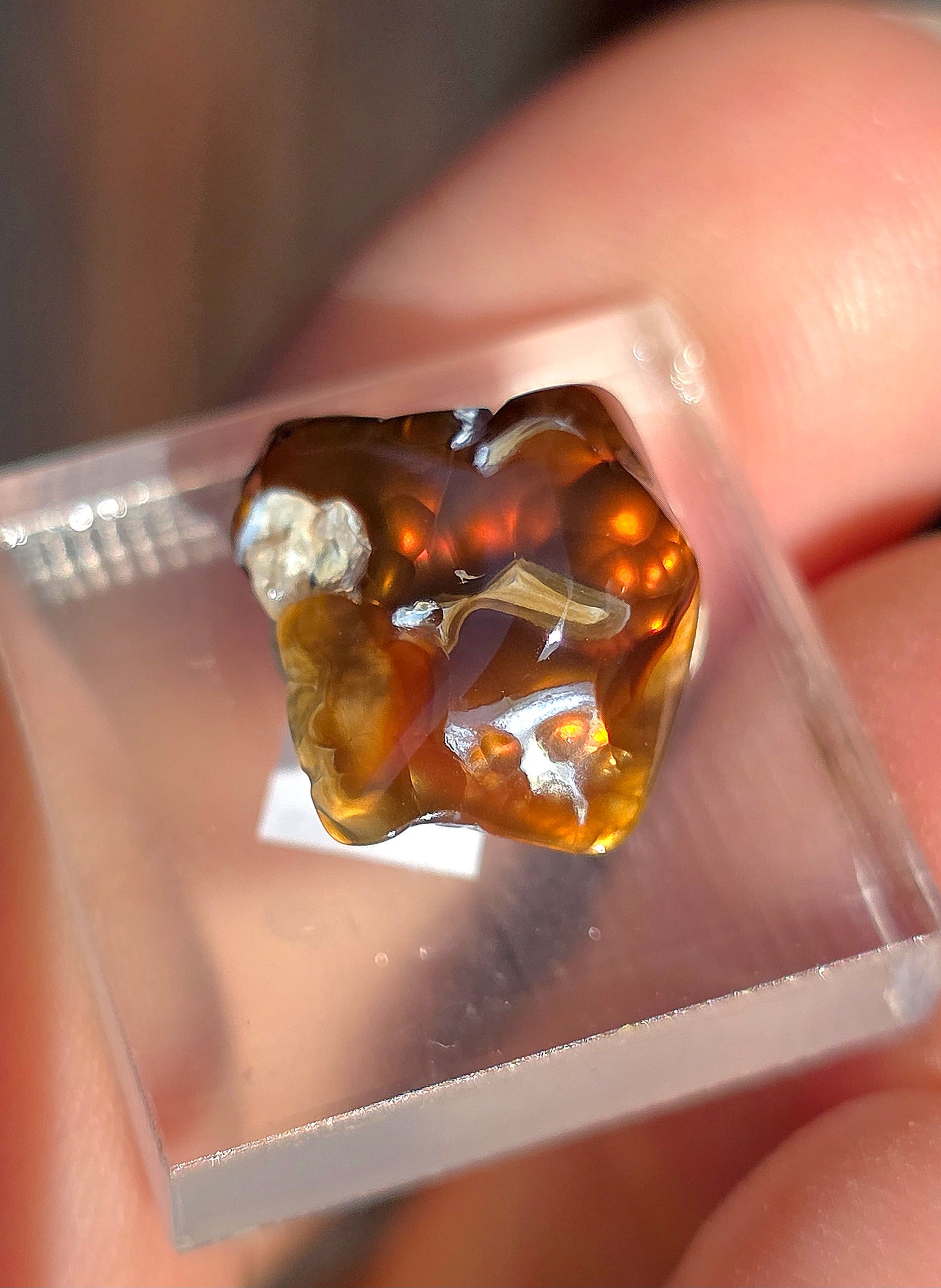 Agate feu du Mexique A21