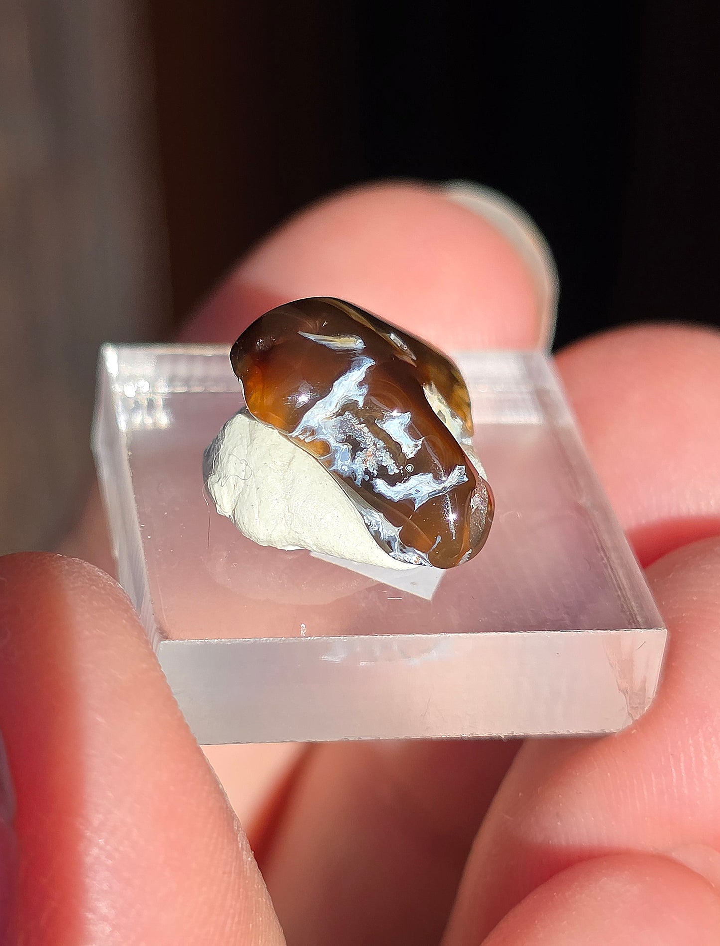 Agate feu du Mexique A21