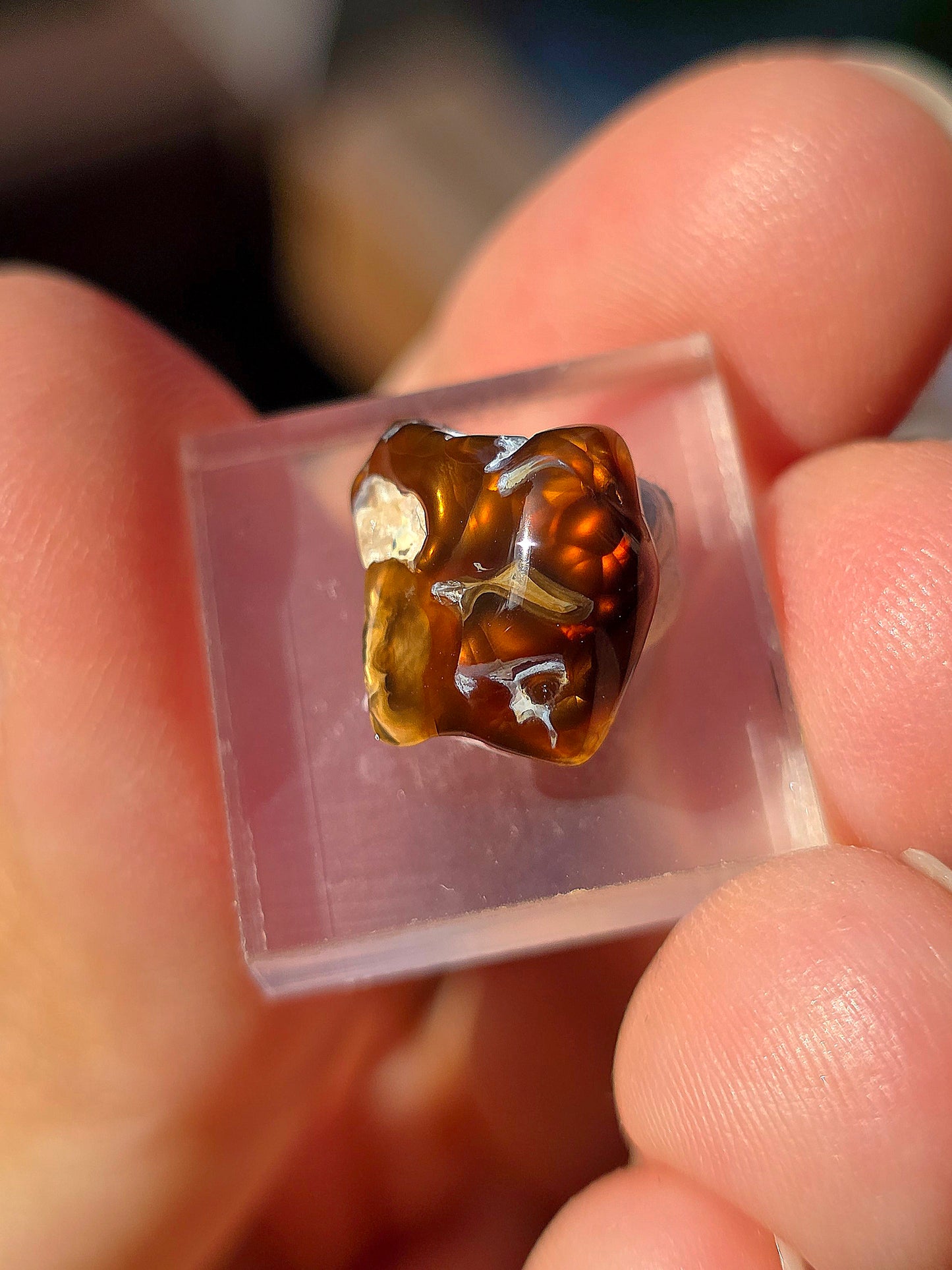 Agate feu du Mexique A21