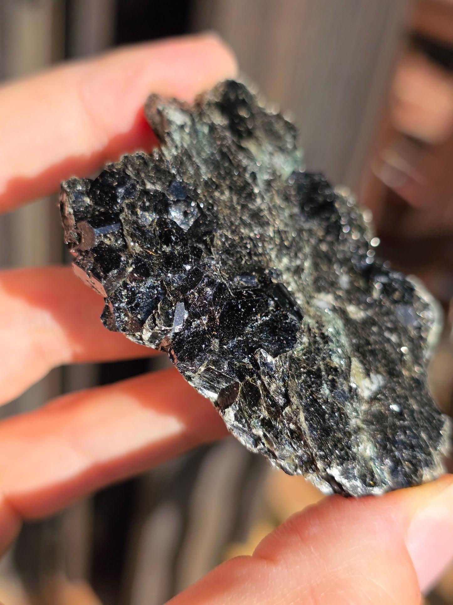 Dravite (Tourmaline brune) du Brésil