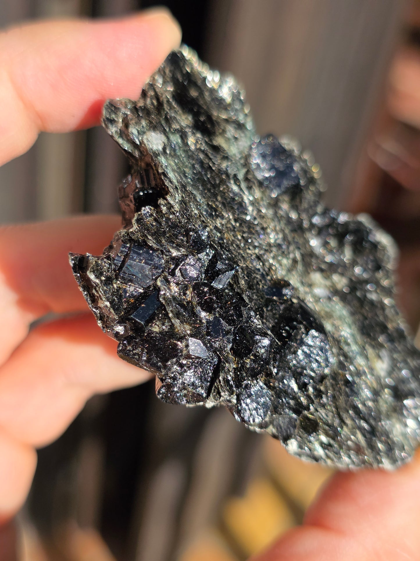 Dravite (Tourmaline brune) du Brésil