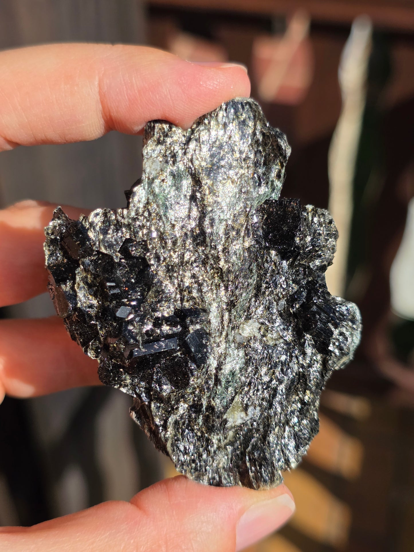 Dravite (Tourmaline brune) du Brésil