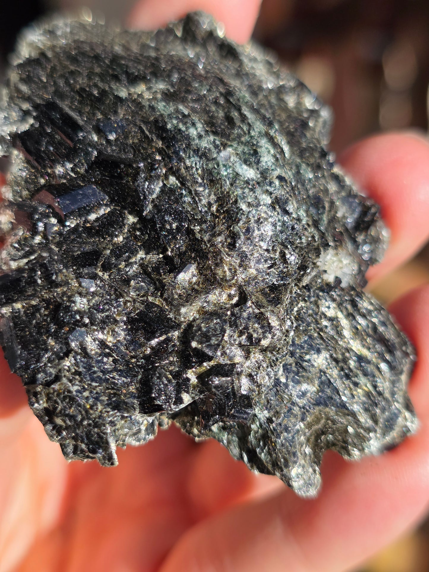Dravite (Tourmaline brune) du Brésil