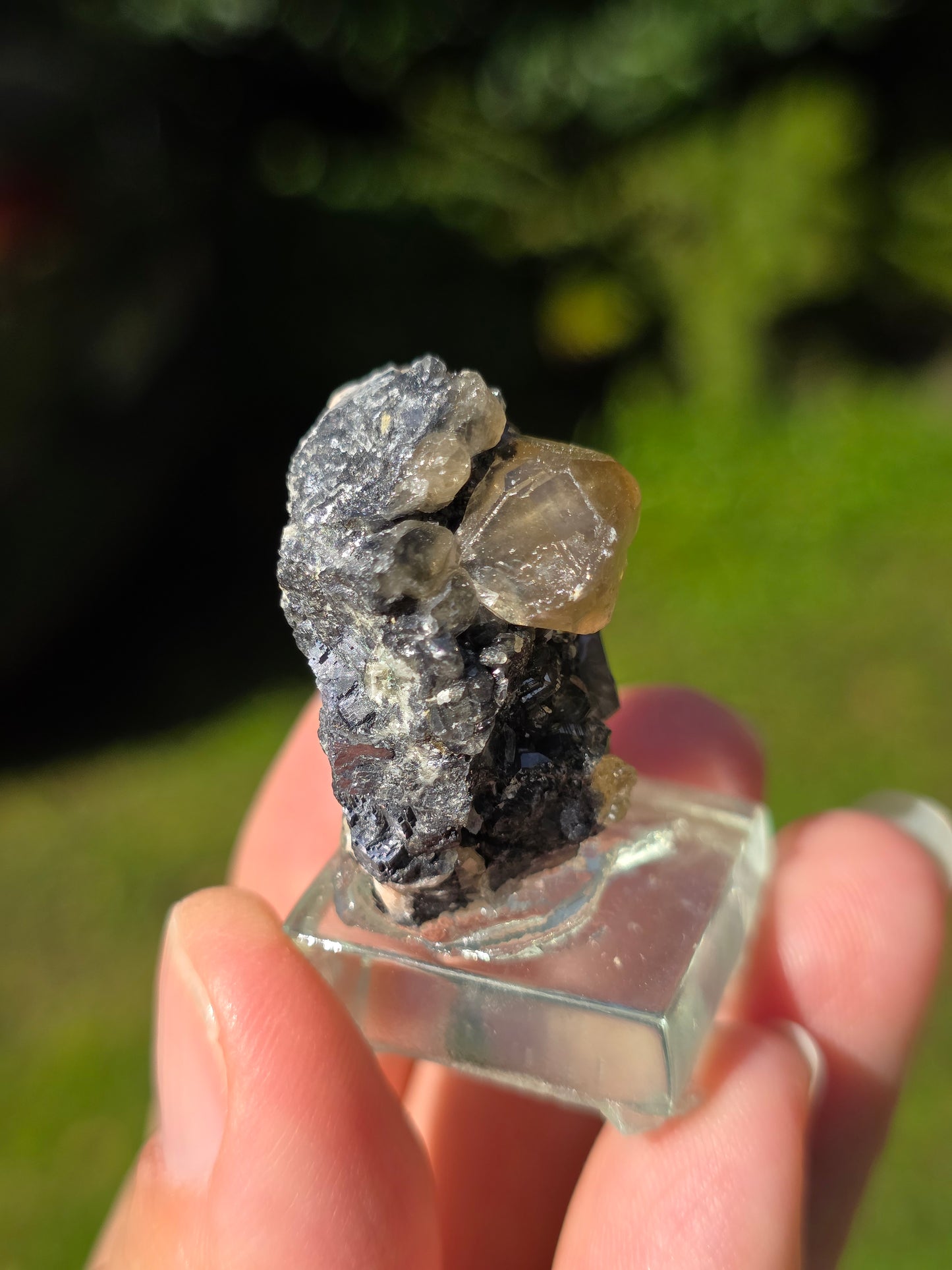 Cérusite et Baryte du Maroc