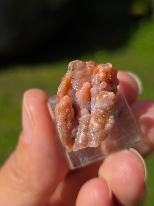 Petite Calcédoine du Maroc