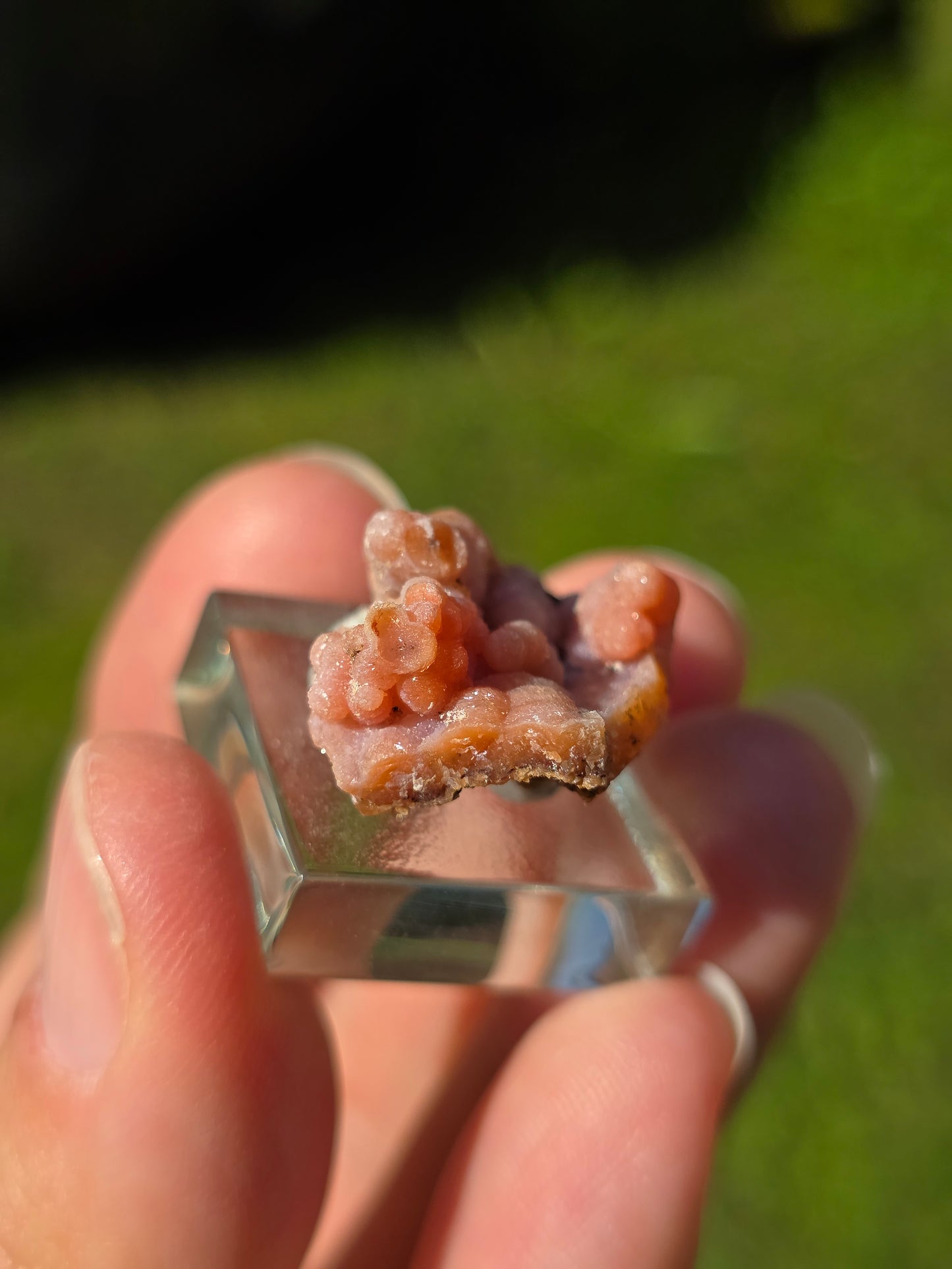Petite Calcédoine du Maroc