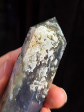 Pointe Agate mousse A1
