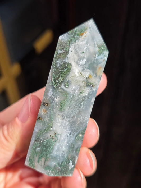 Pointe Agate mousse A3