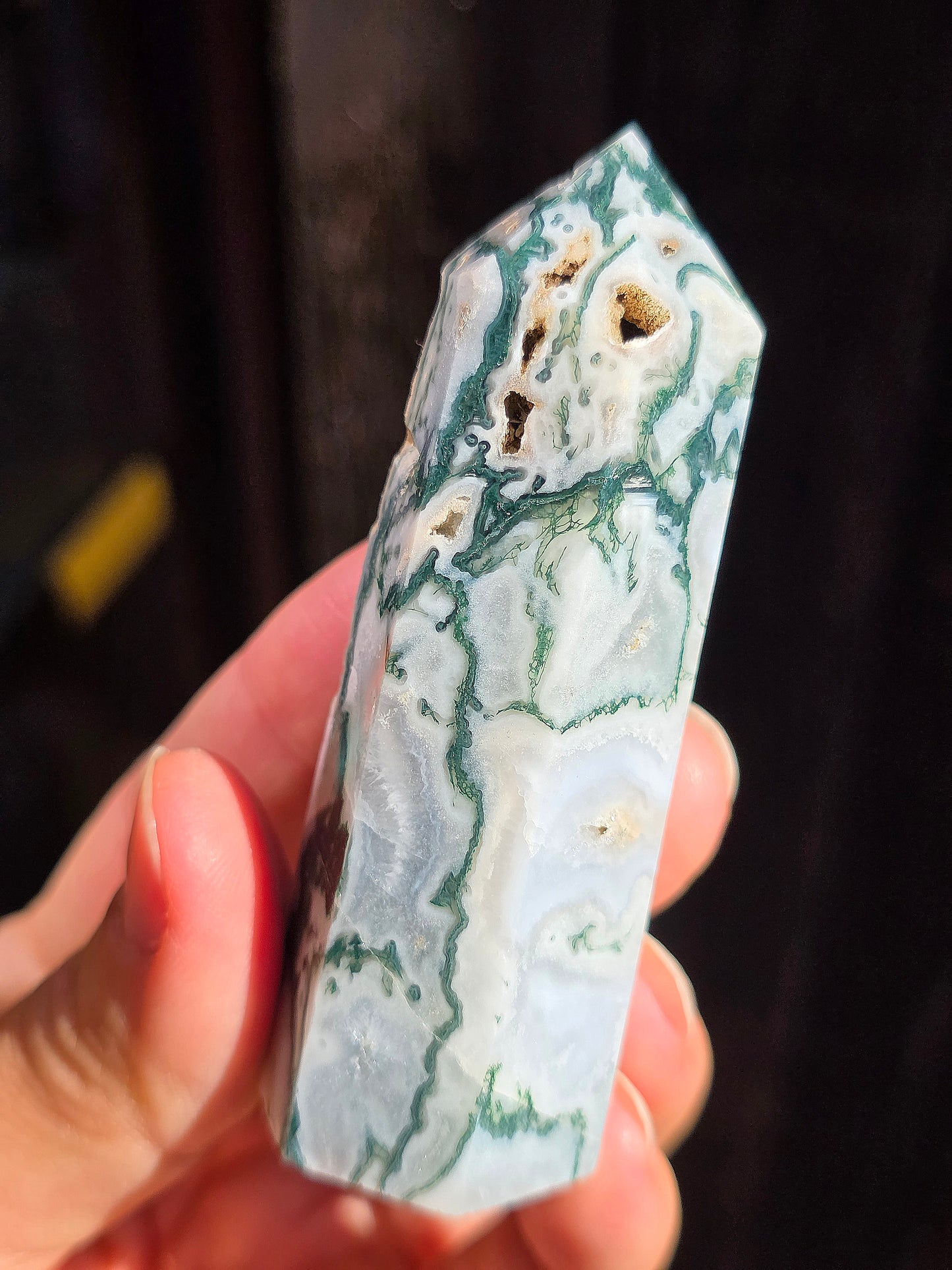 Pointe Agate arbre A8