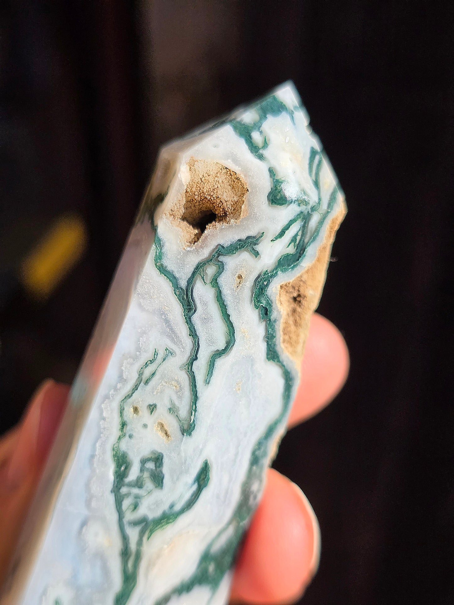 Pointe Agate arbre A8