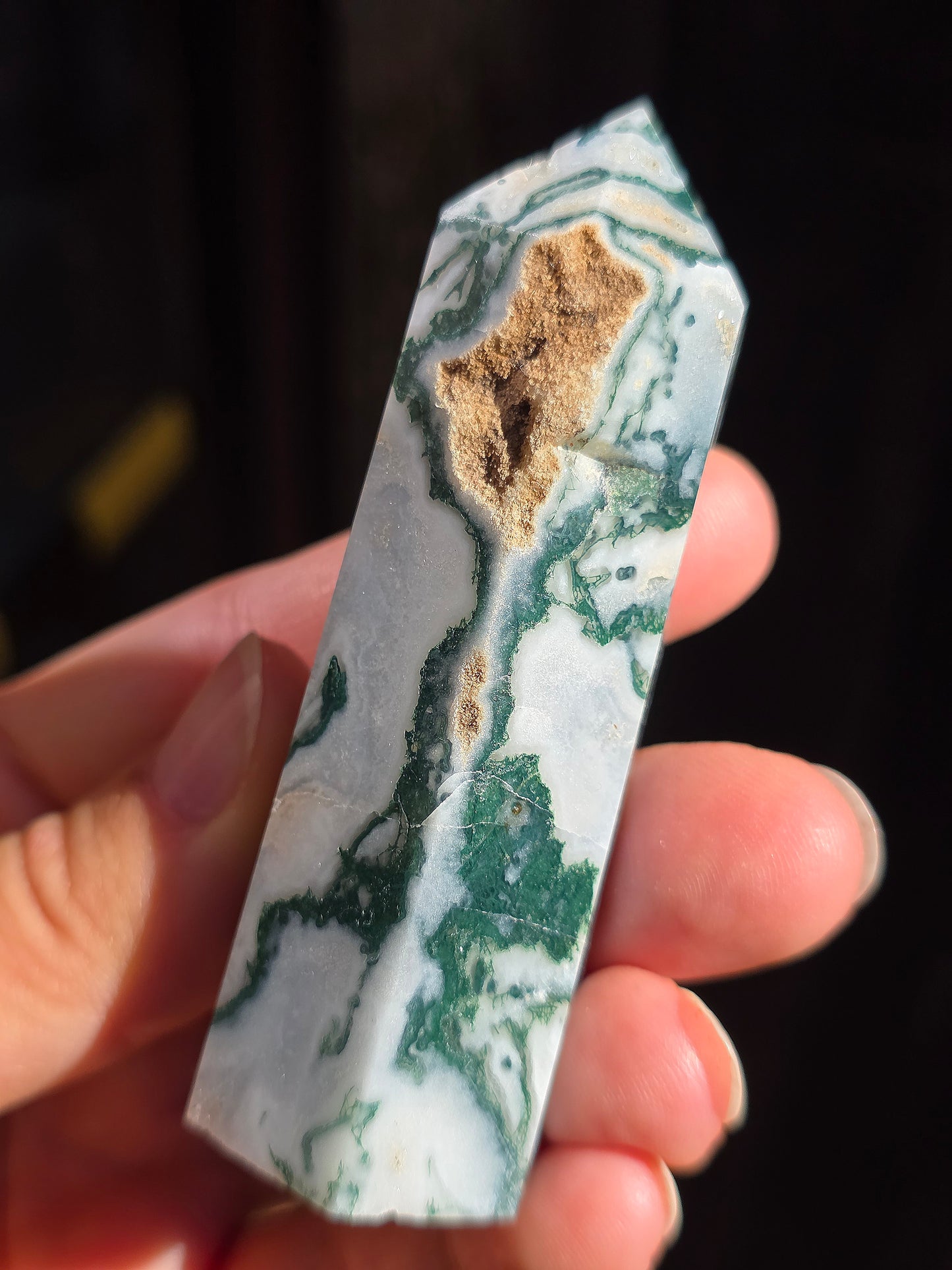 Pointe Agate arbre A8