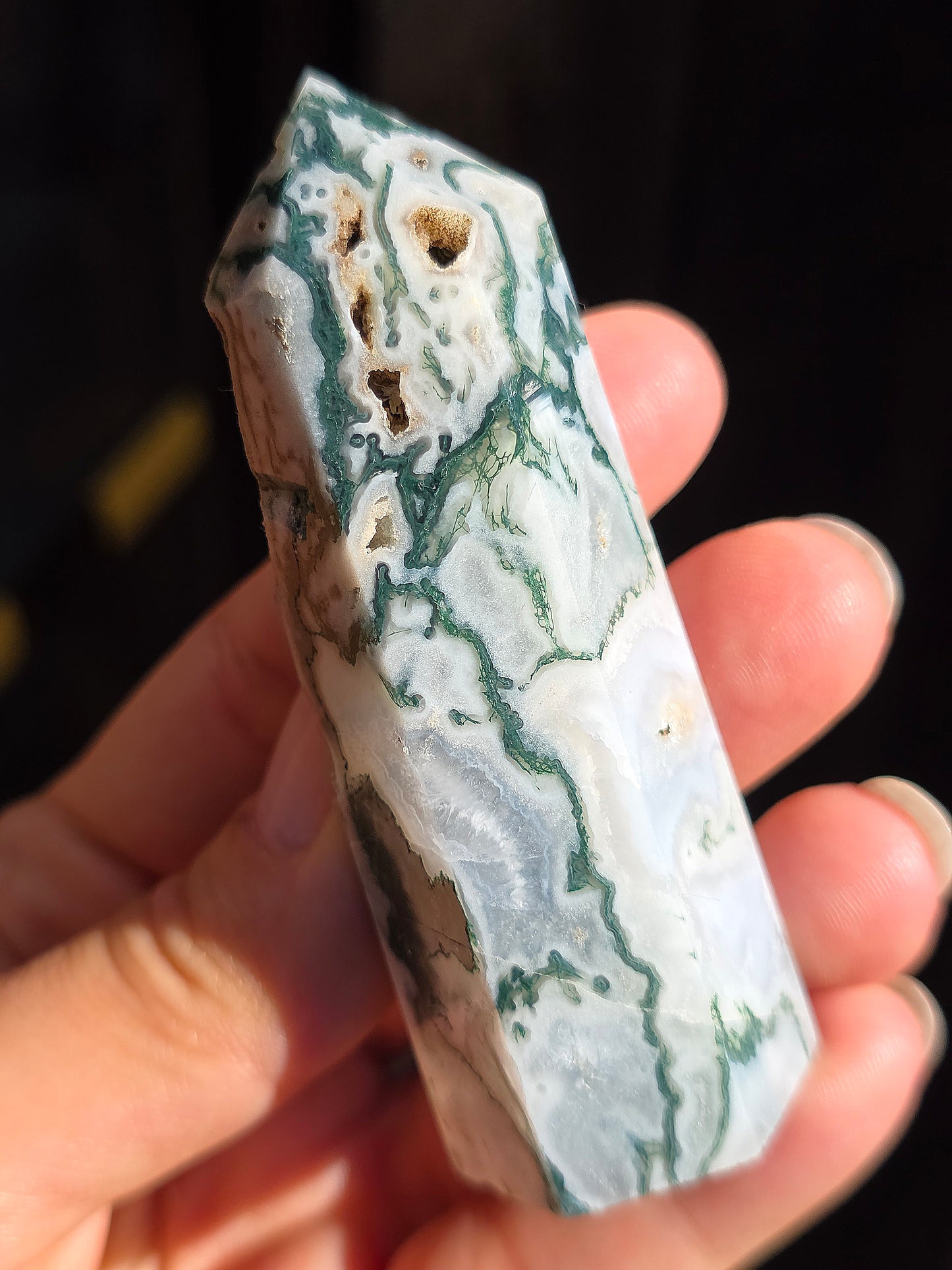 Pointe Agate arbre A8
