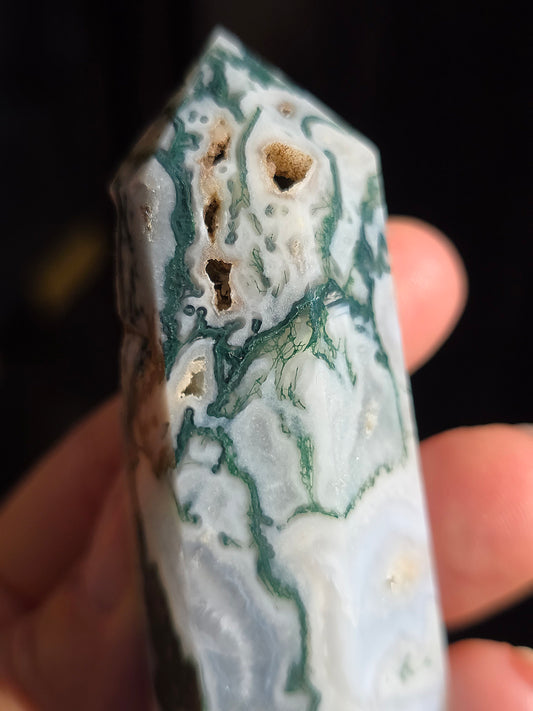 Pointe Agate arbre A8