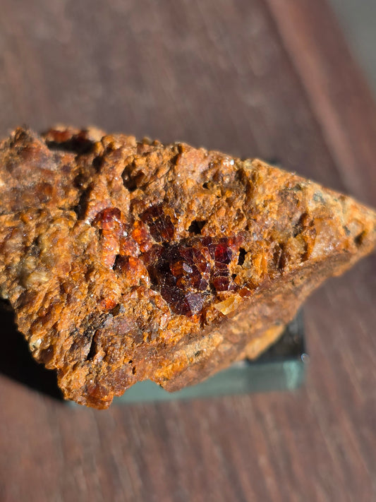 Grenat de Bigorre (65)