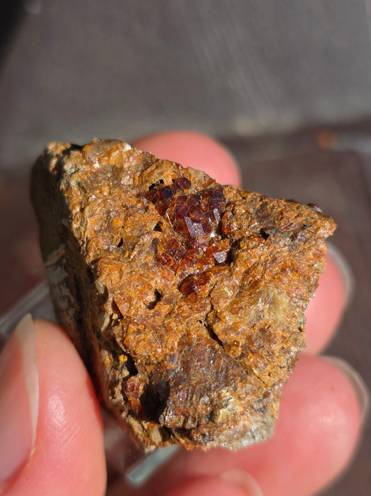 Grenat de Bigorre (65)