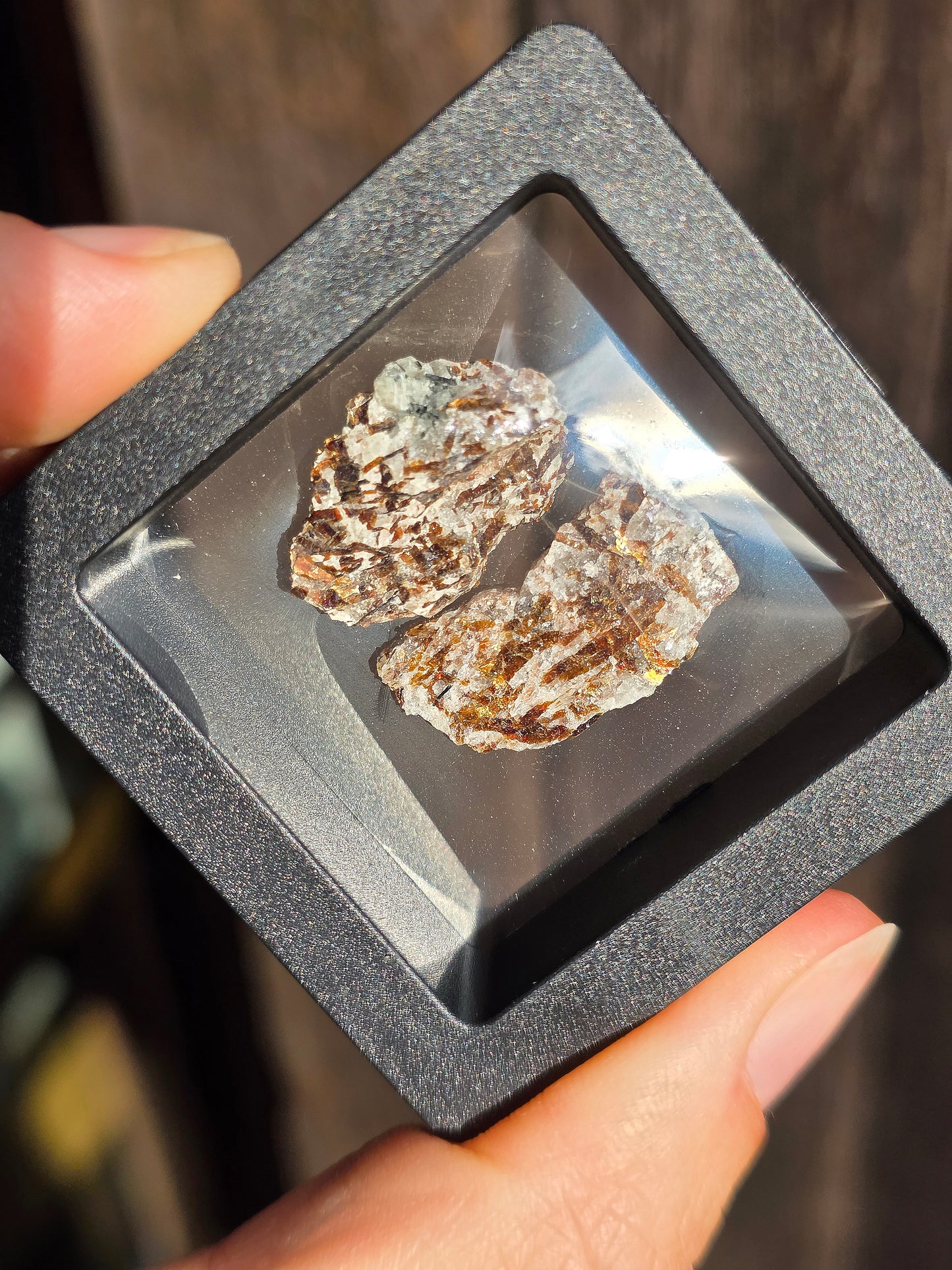 Boîte vitrine contenant de l'Astrophyllite de Russie (à choisir)