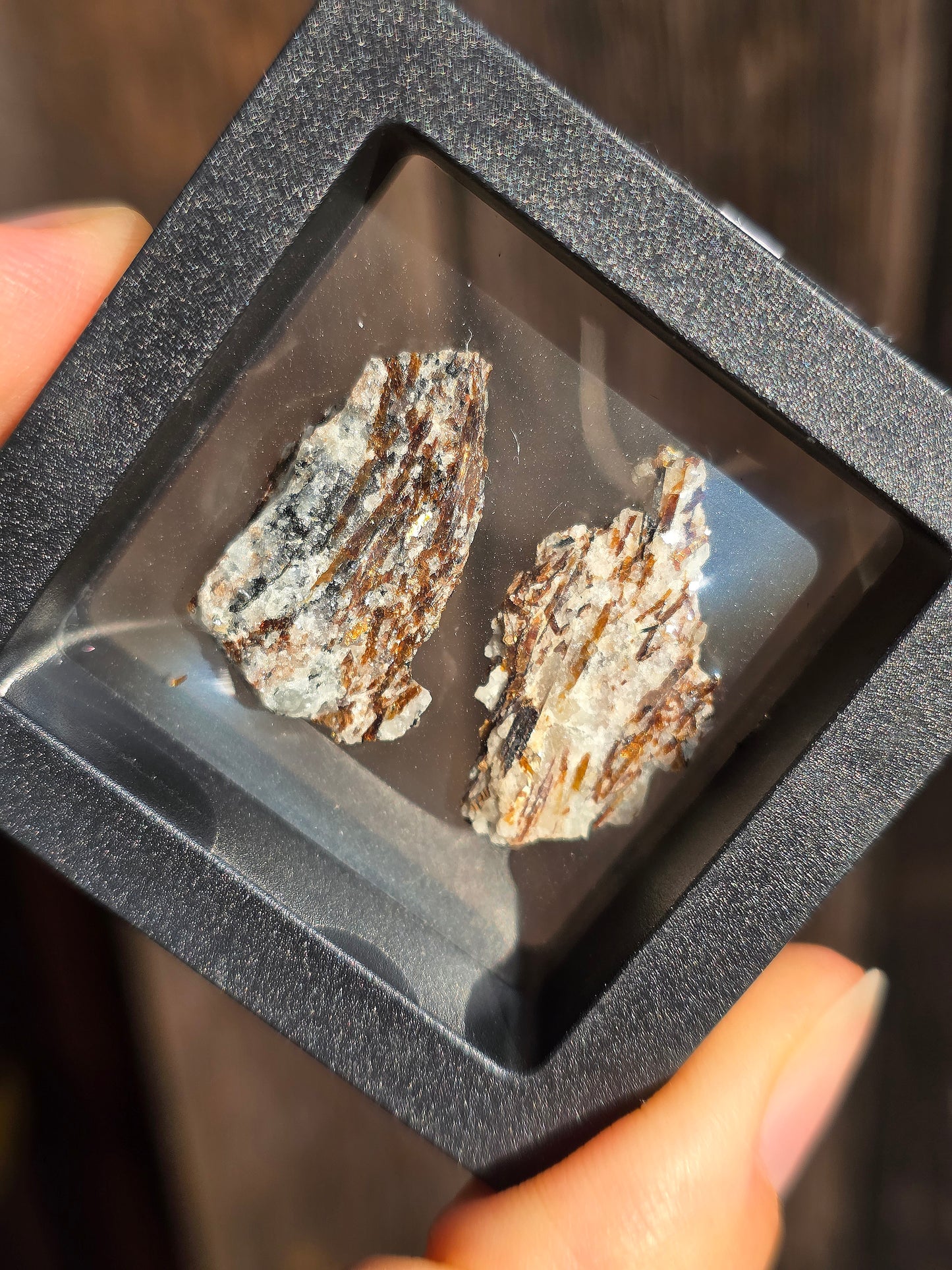 Boîte vitrine contenant de l'Astrophyllite de Russie (à choisir)